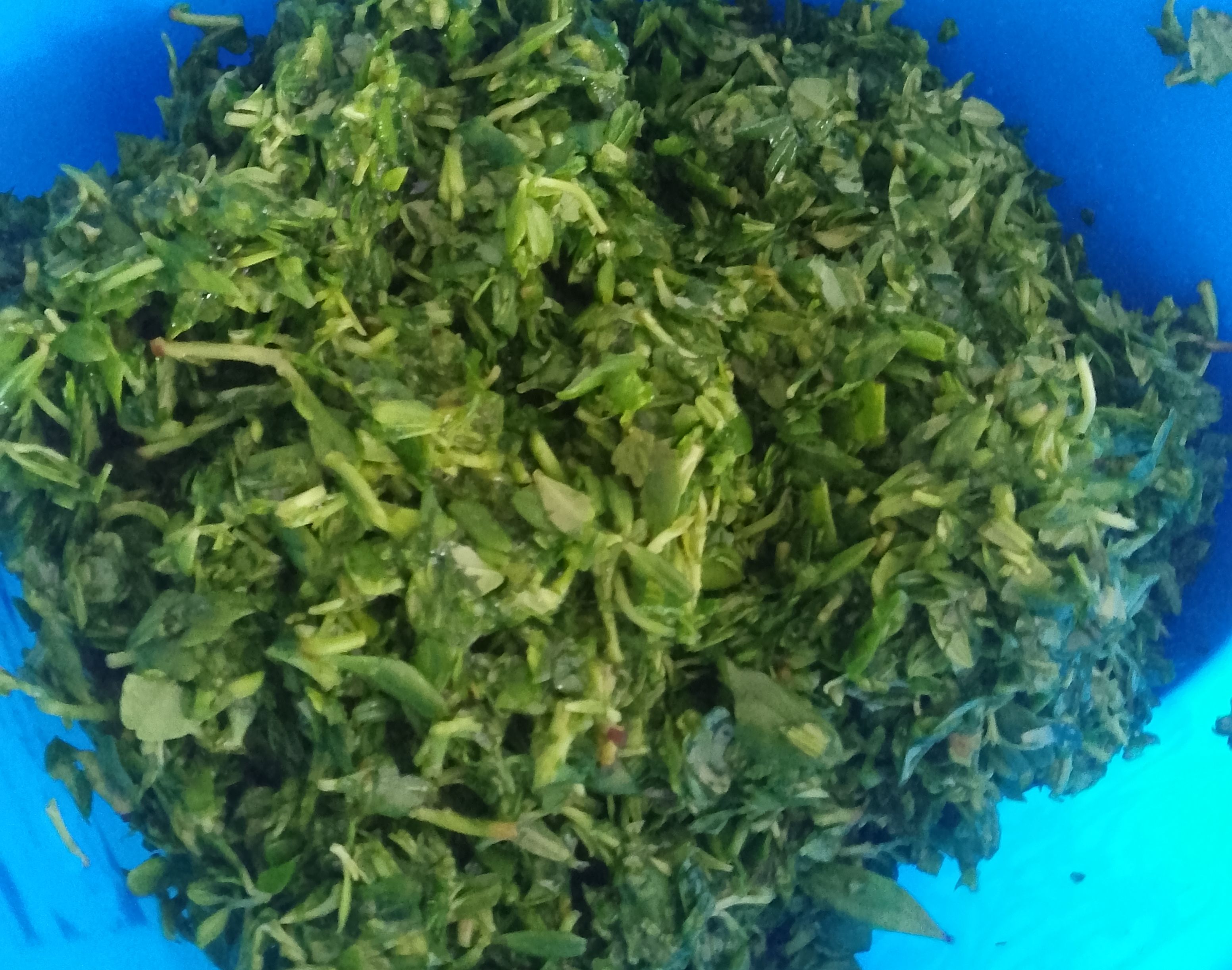 IMG_20260426_074242_359~2.jpg