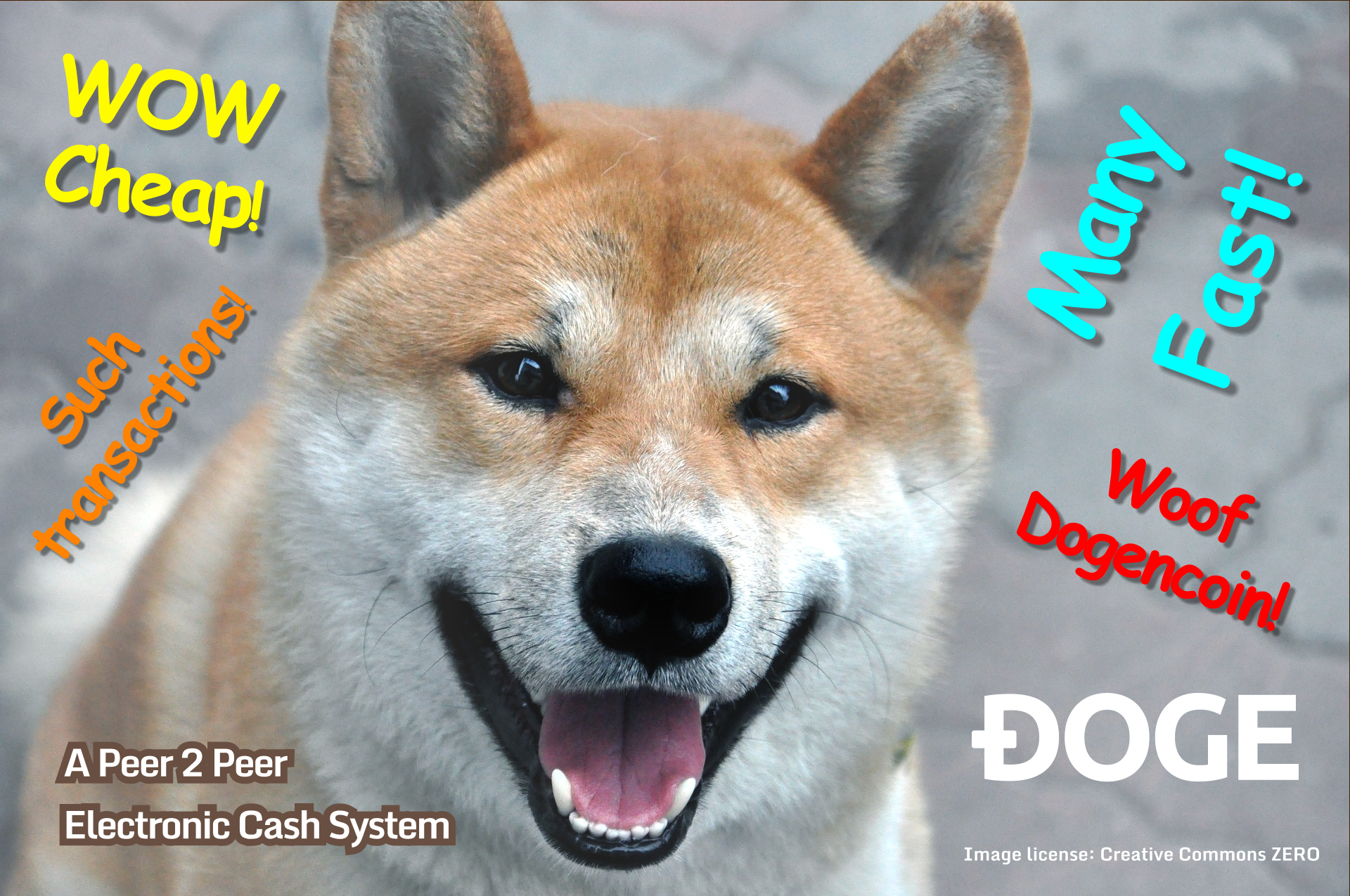 doge_p2p-e_cash.png