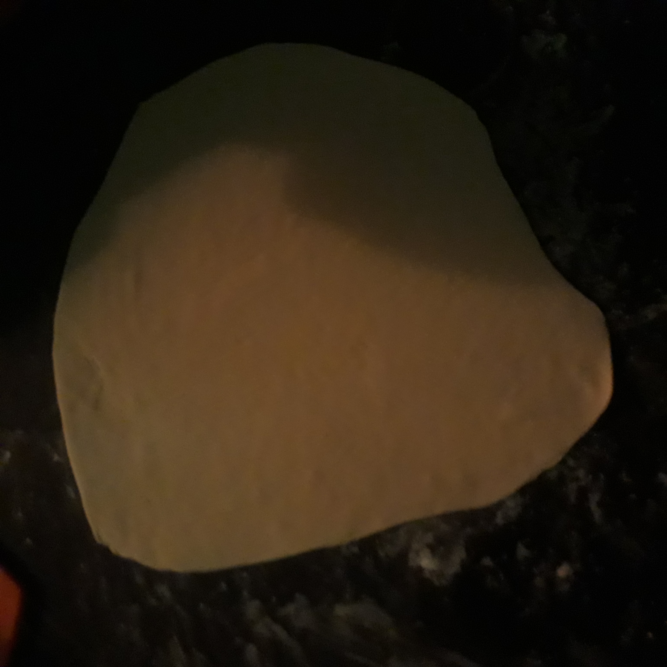20180523_193308.jpg