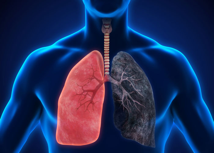 shutterstock_606112508-lungs.jpg