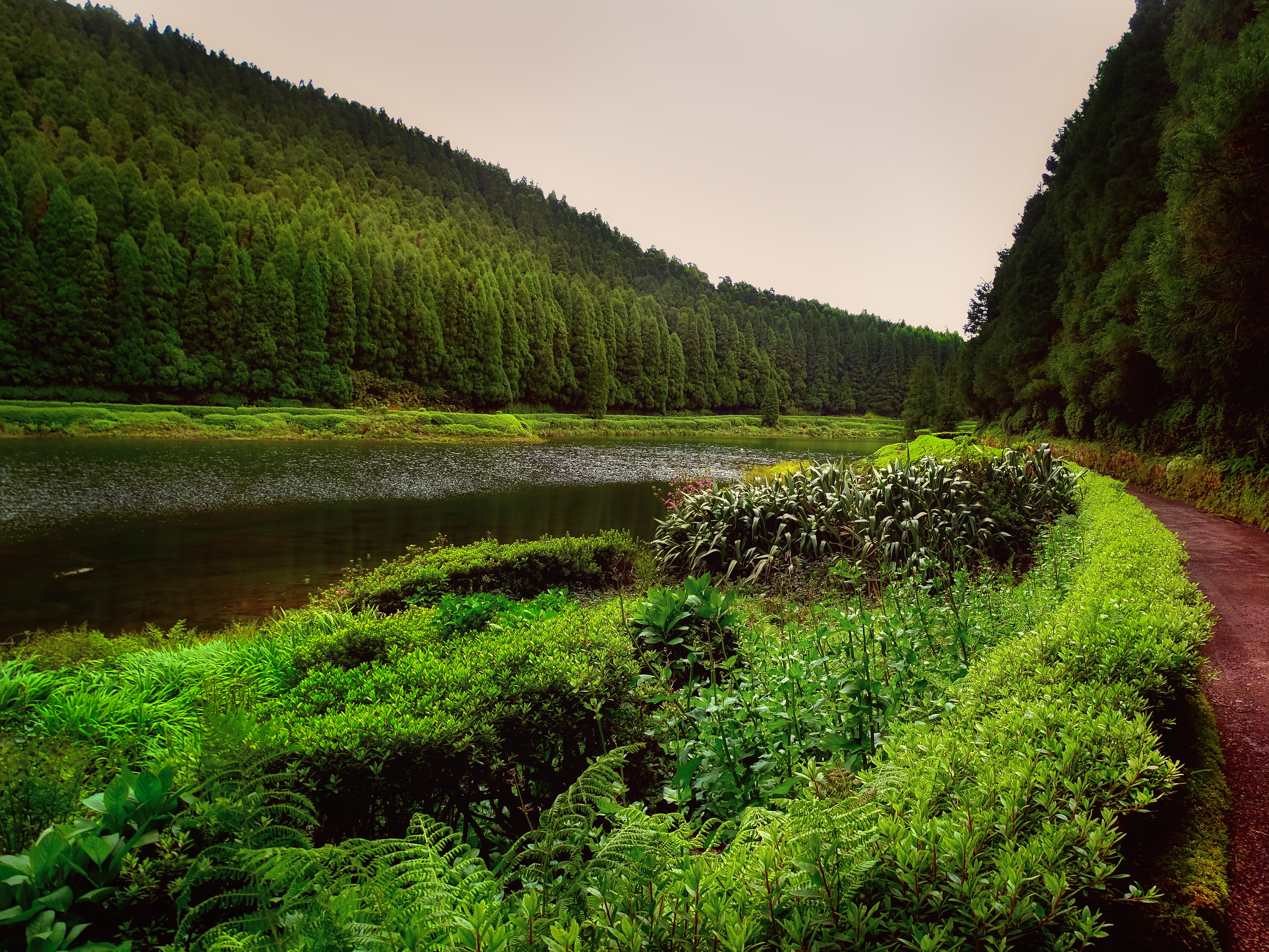 DSC07359_1 (2).jpg
