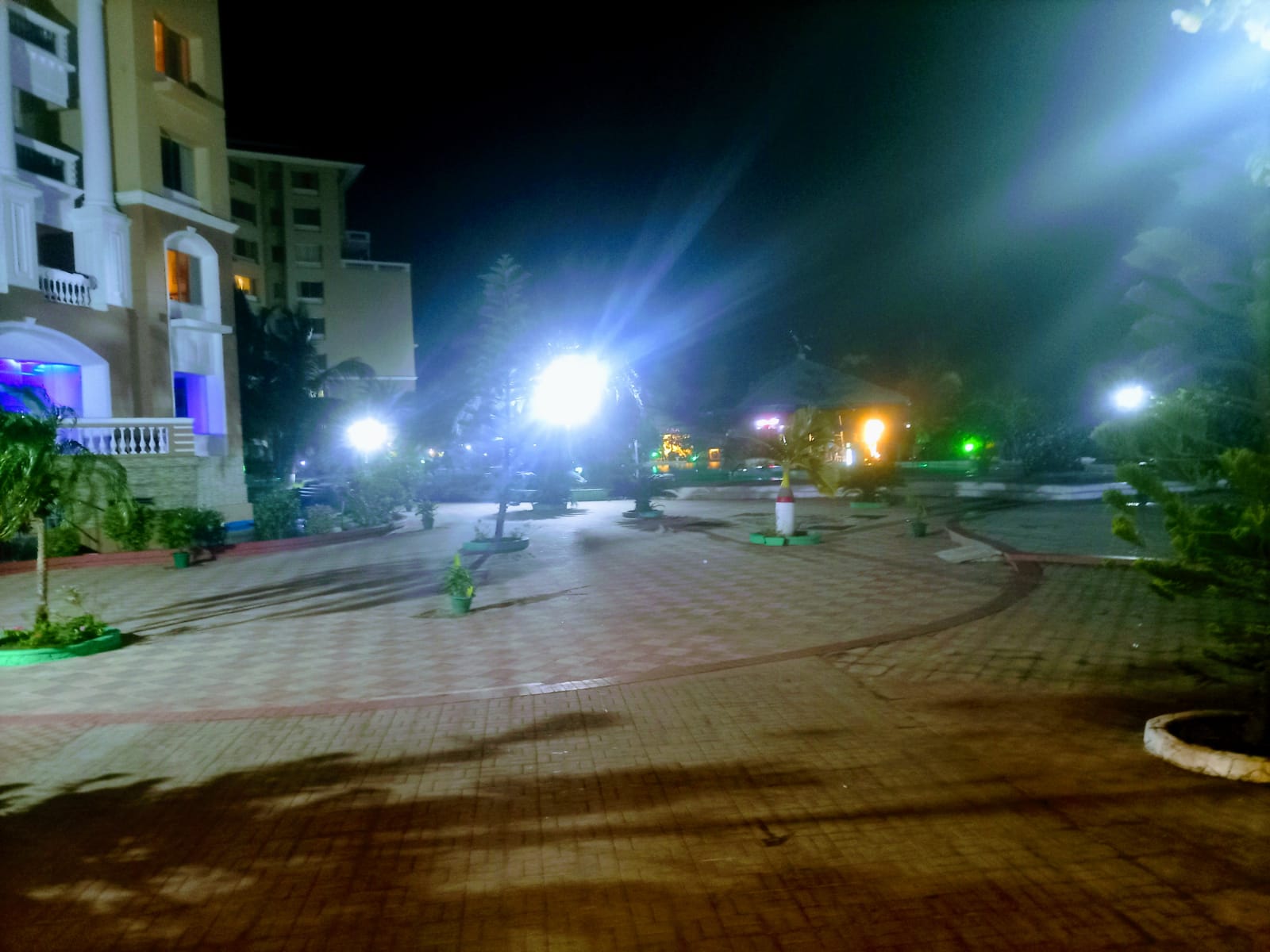n1.jpg