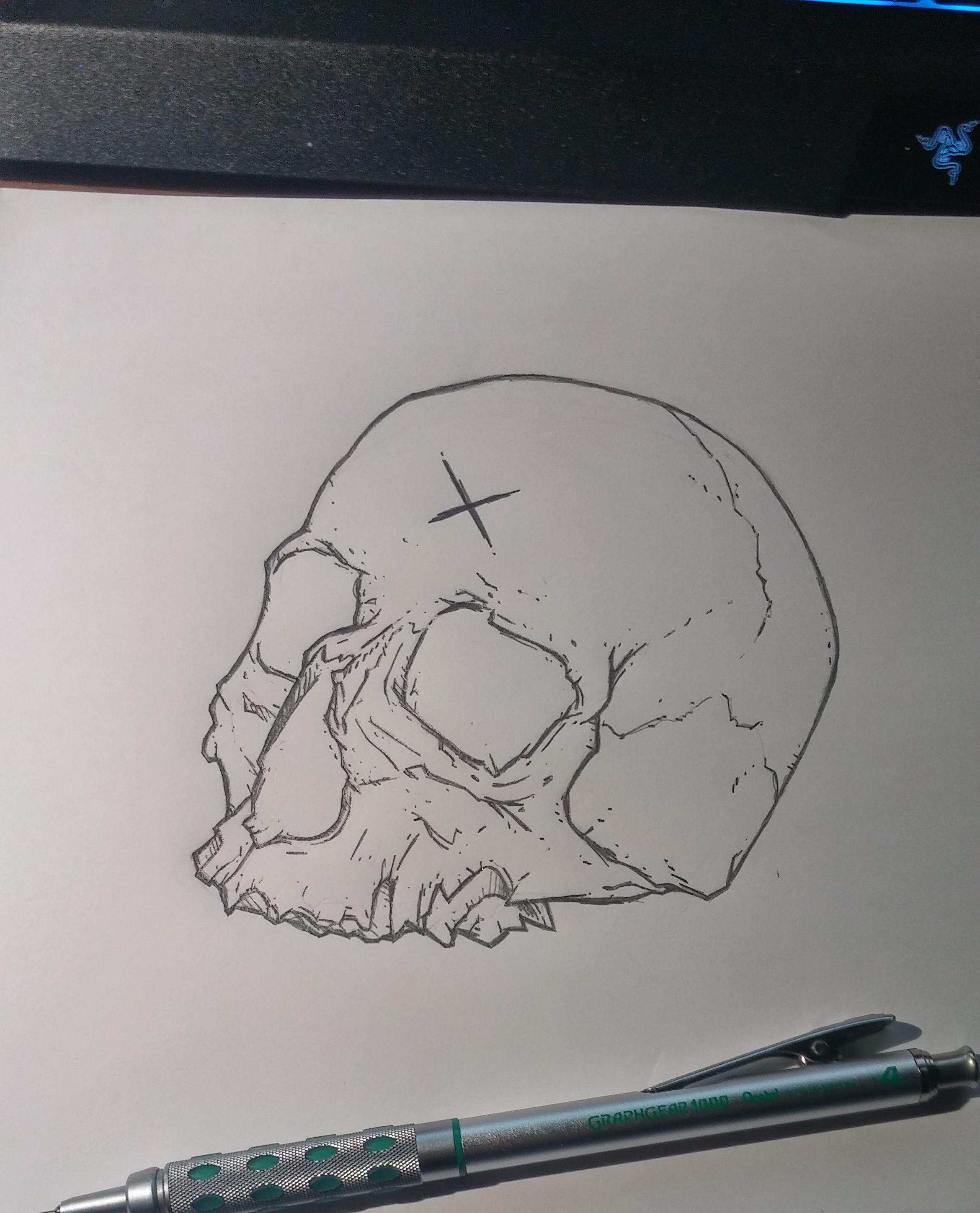 skull sketch.jpg