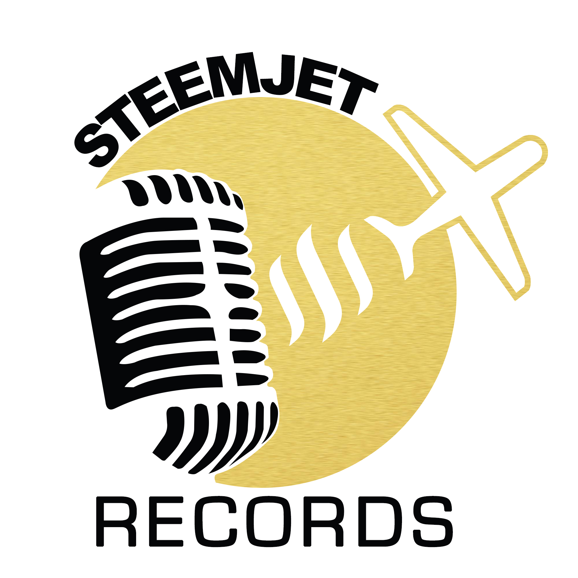 steenjet sistem logo by jacobite 4.png