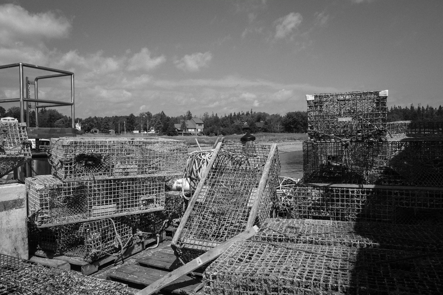 DSCF0511.jpg