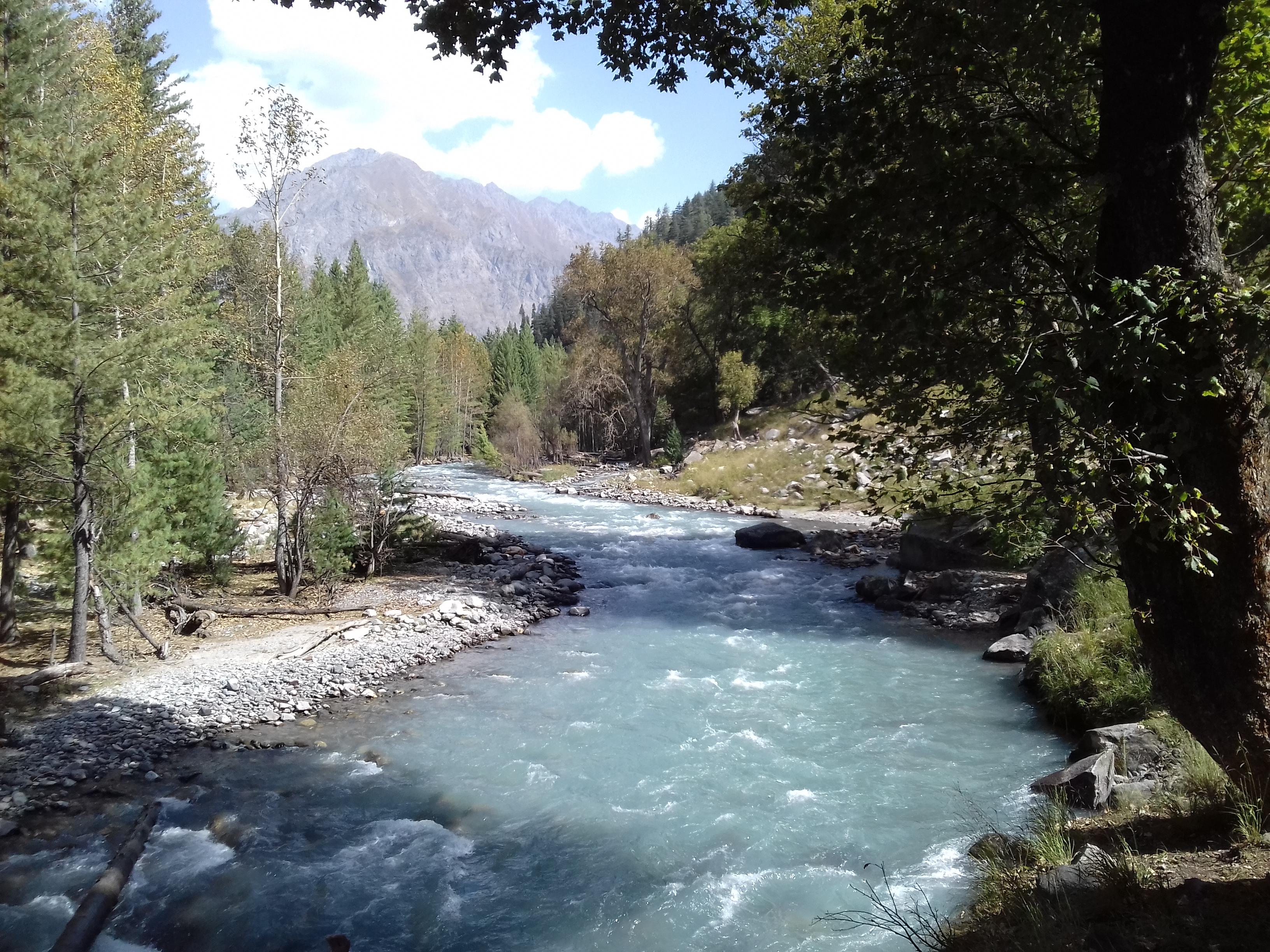20180921_102141.jpg