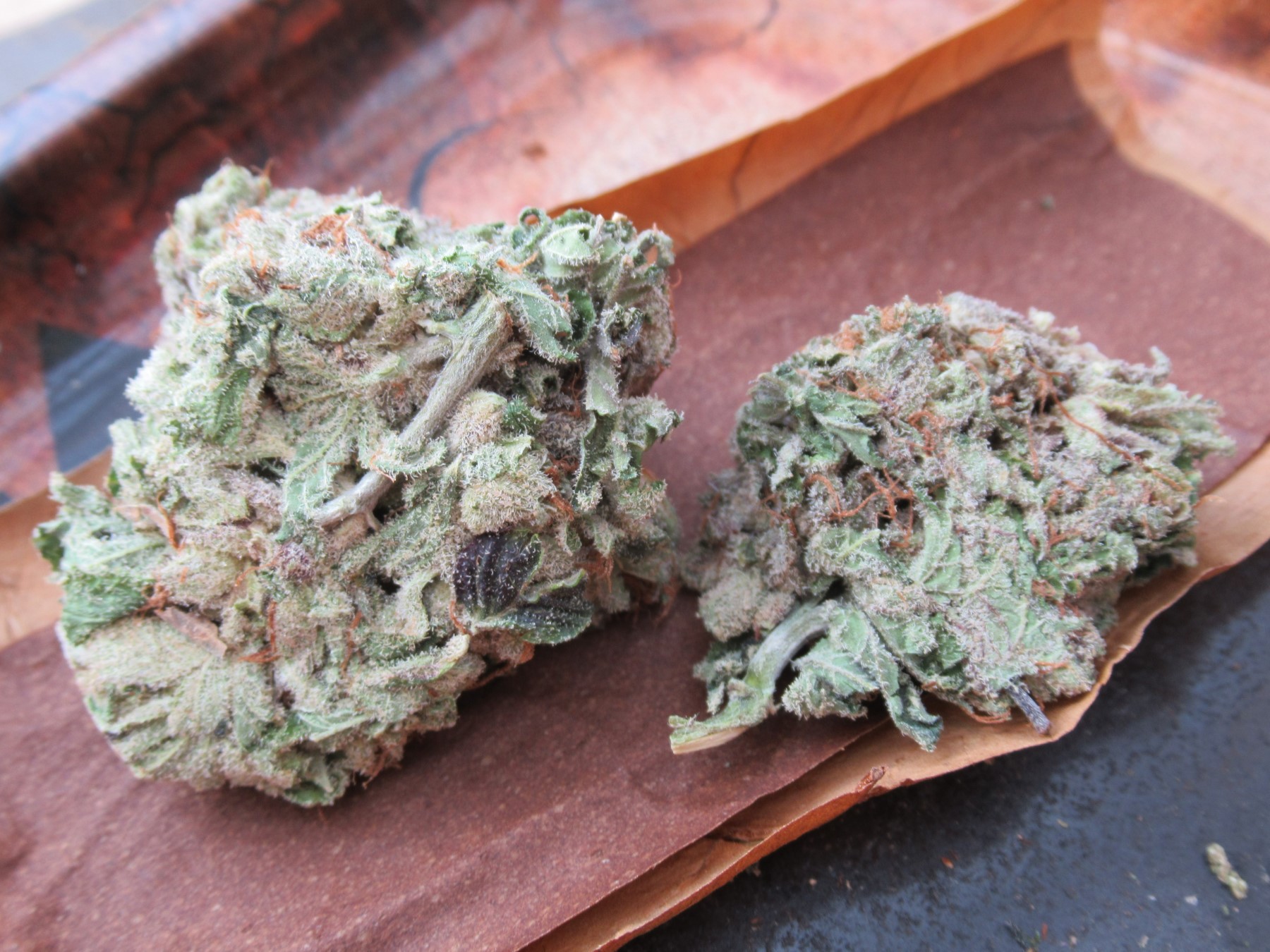 fullnugduoubeback.jpg