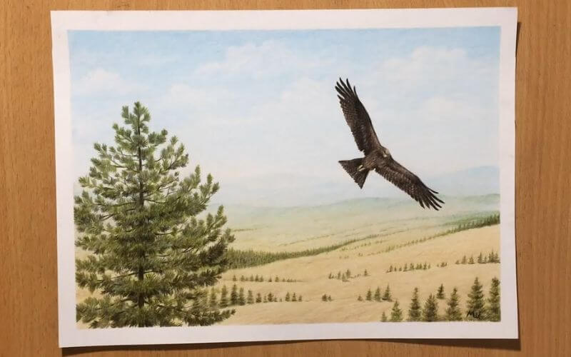 Landscape_drawing_of_a_meadow_with_a_tree_and_bird_on_the_foreground.jpg