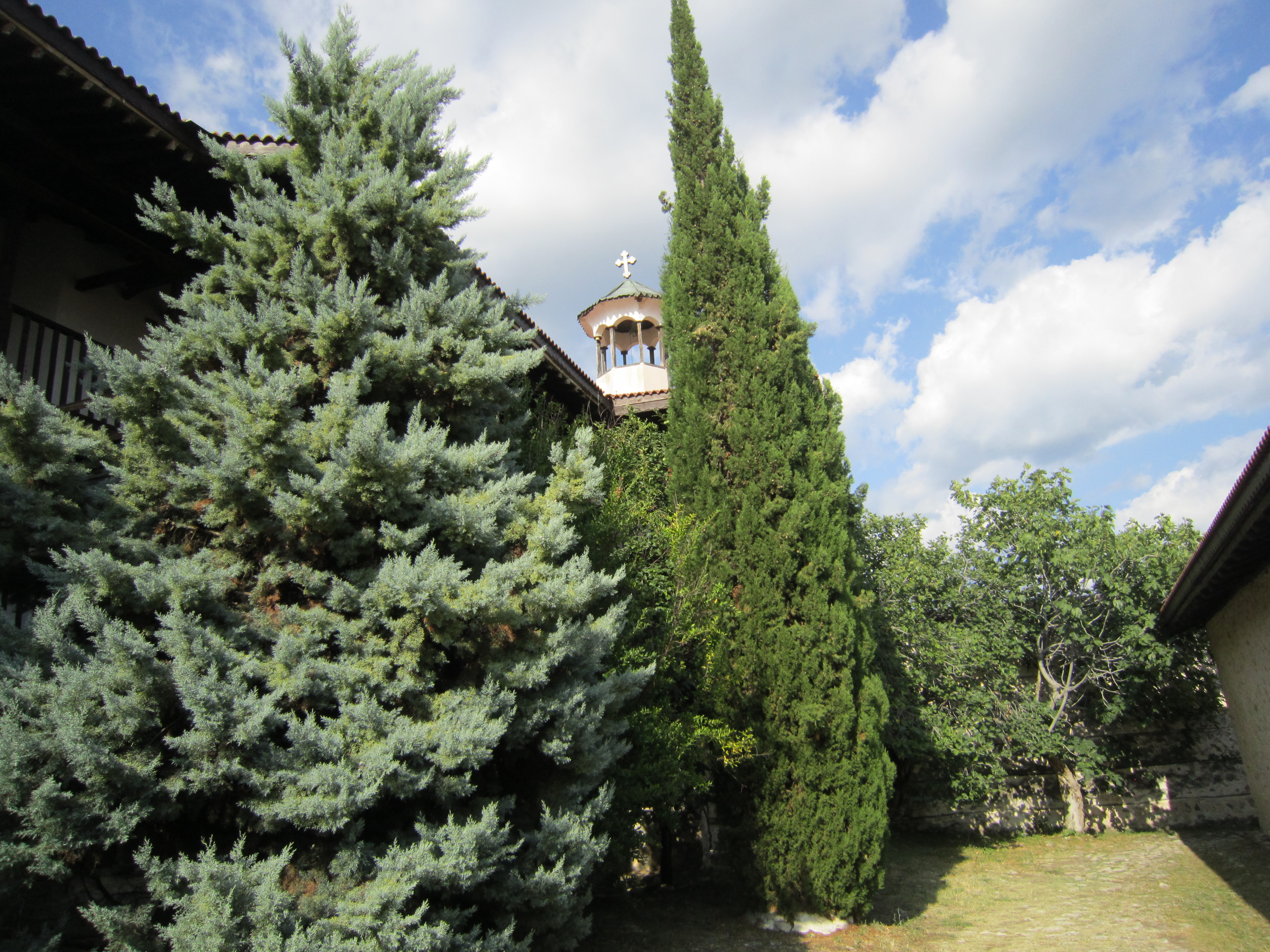 IMG_4455.jpg