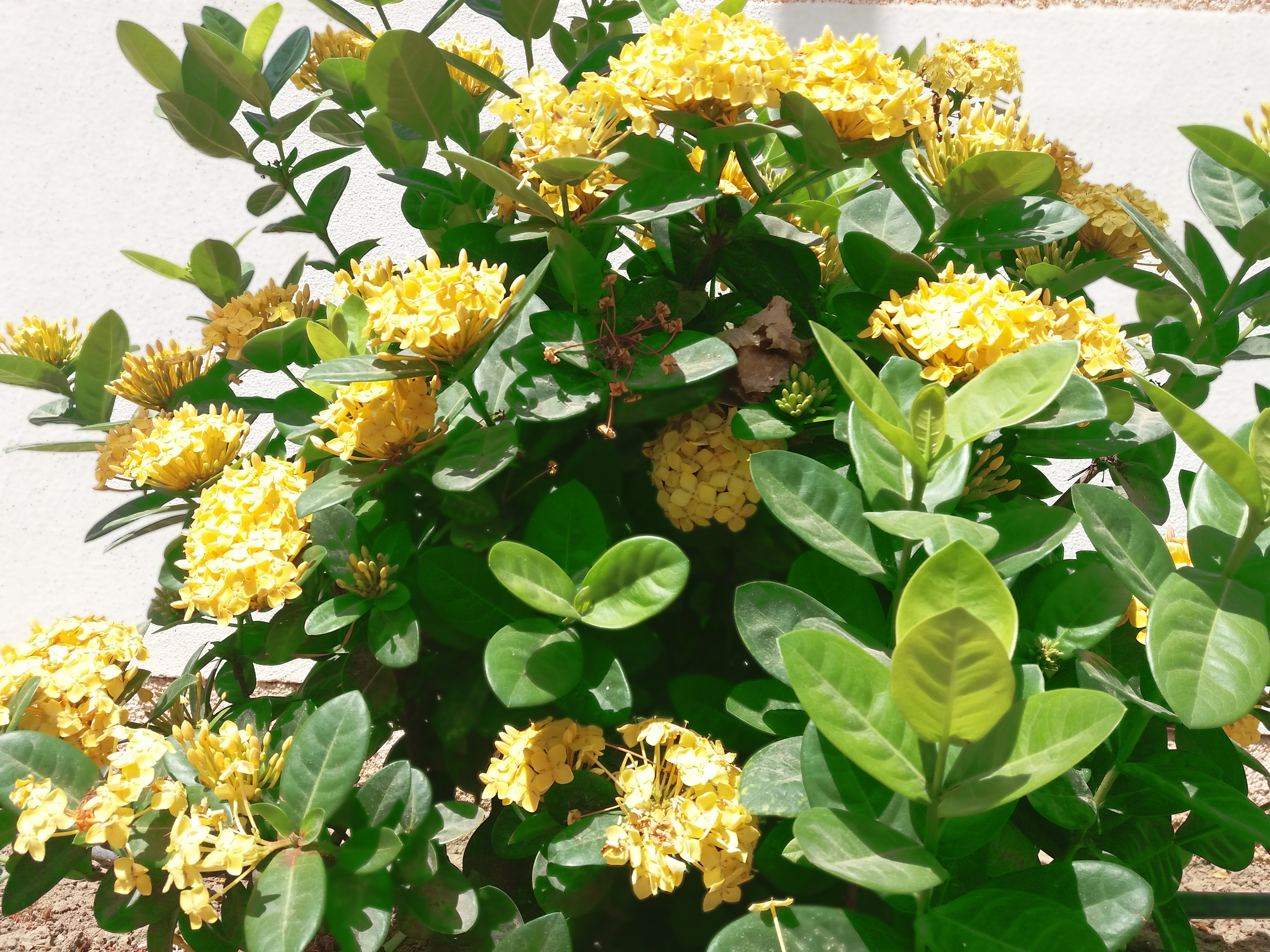 20180526_102226.jpg