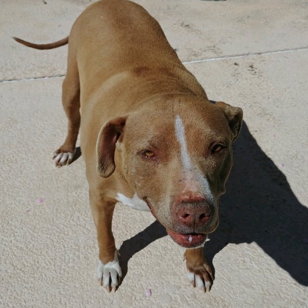 20190325_105517_crop_625x624.jpg
