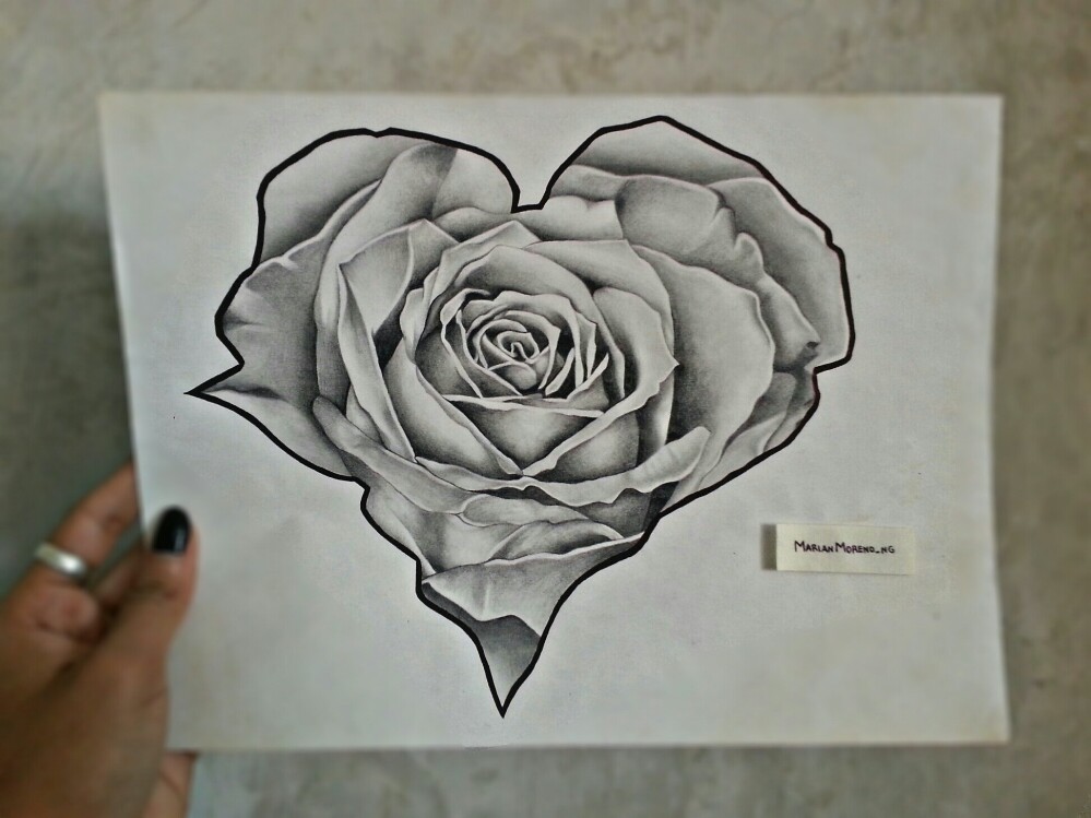 Dibujo - Rosa Realista // Con forma de corazón - Steemit.