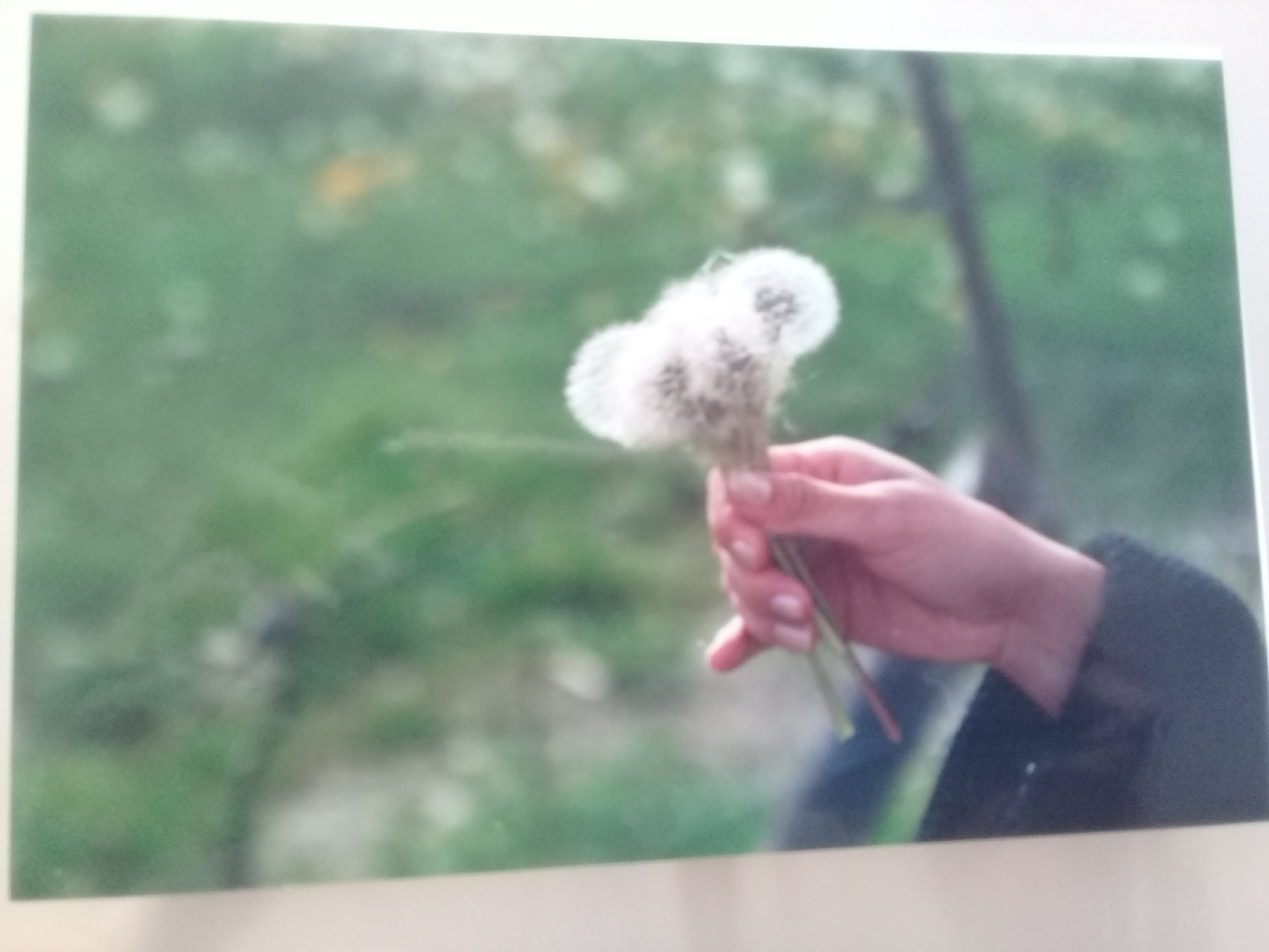 20180313_091538.jpg