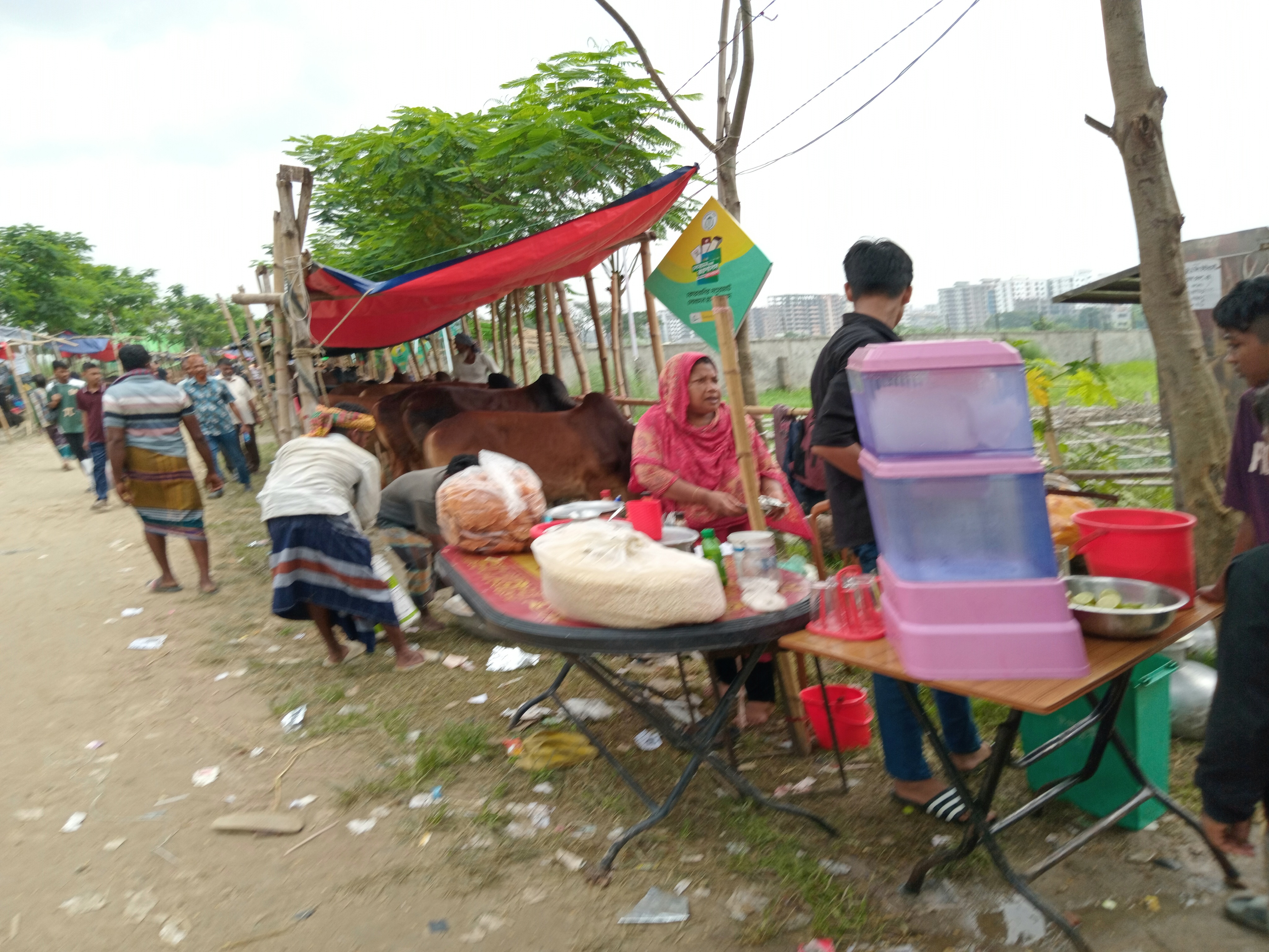 1000037676.jpg
