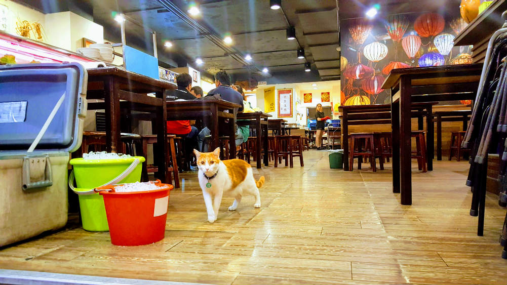20180904_003741-EFFECTS.jpg