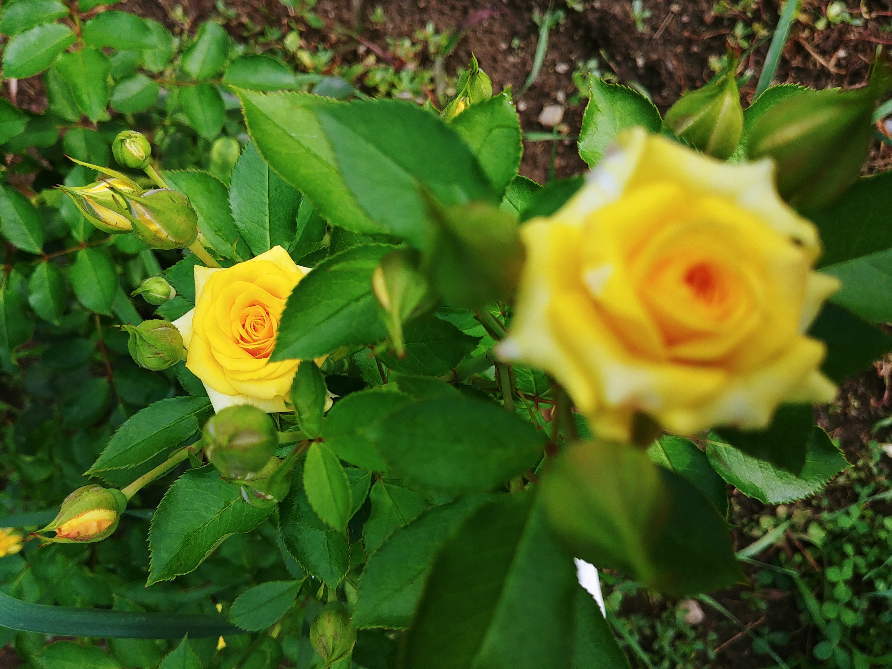 20180725_174418.jpg