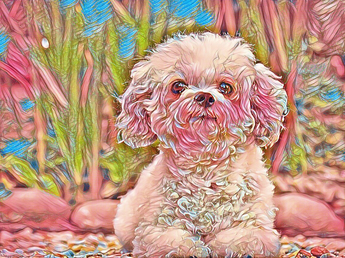 imageedit_3_3555202738.jpg