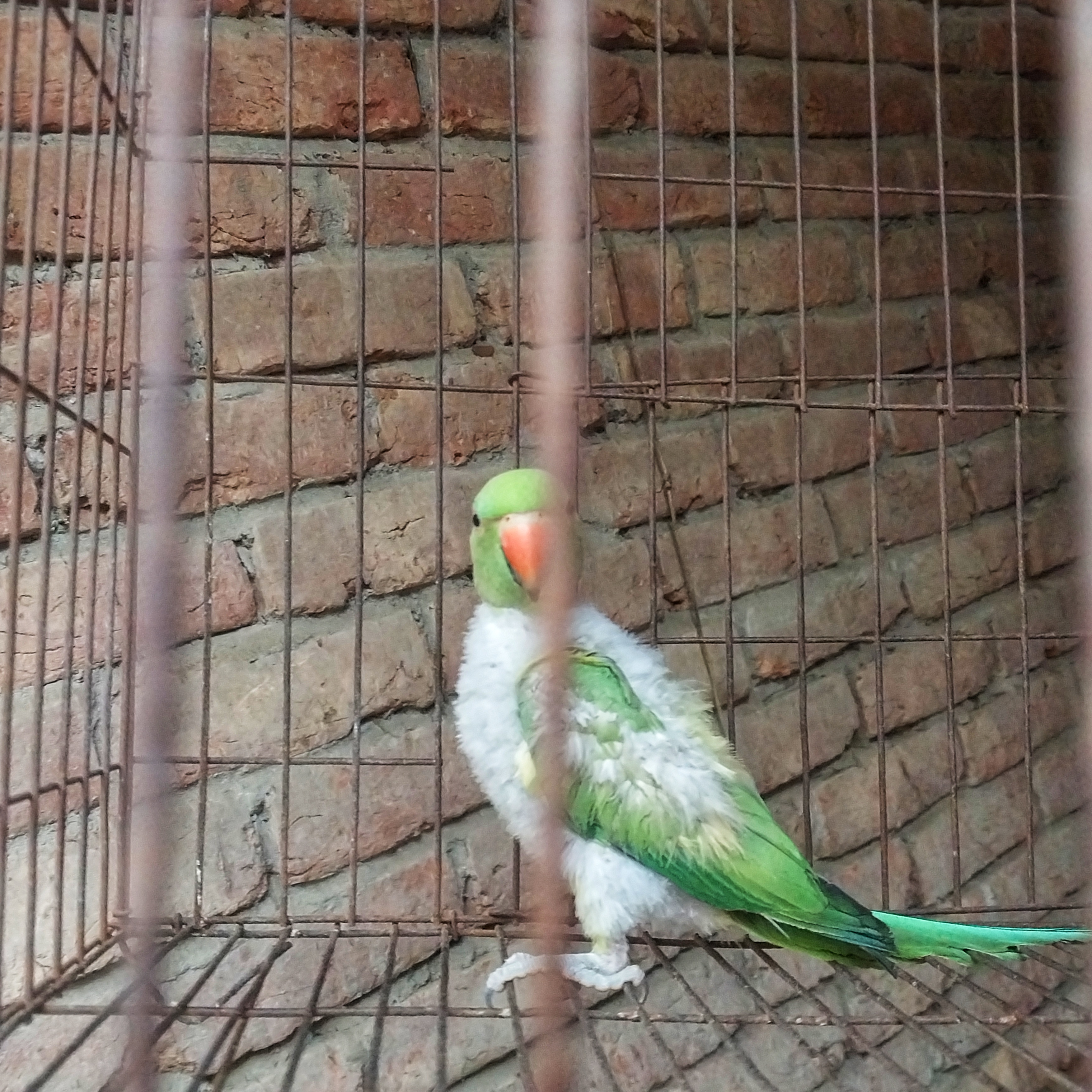 20260520_173647.jpeg