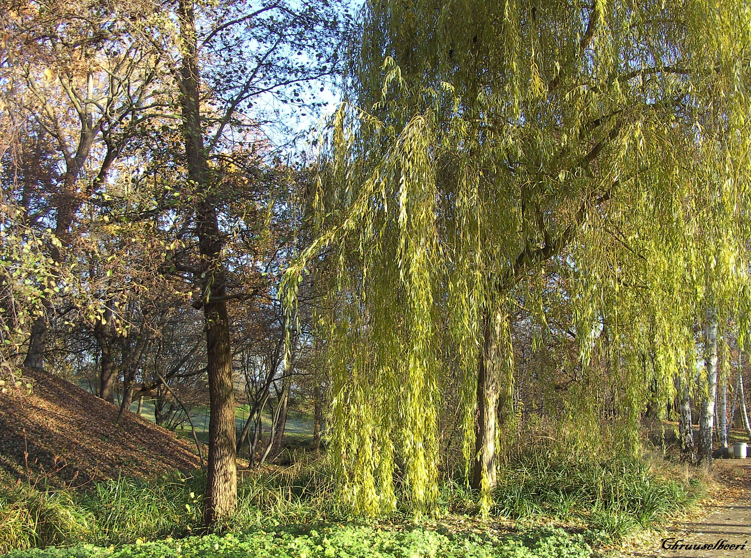 Sonnenstrahlen_08.jpg