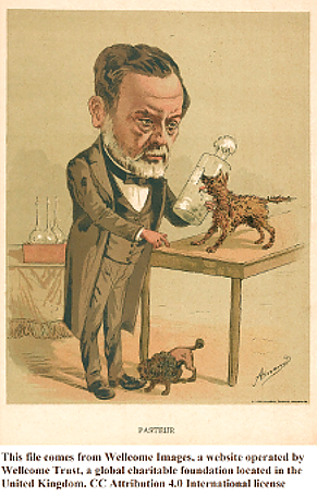 Louis Pasteur Colourlithograph by Amand Wellcome 4.0.jpg