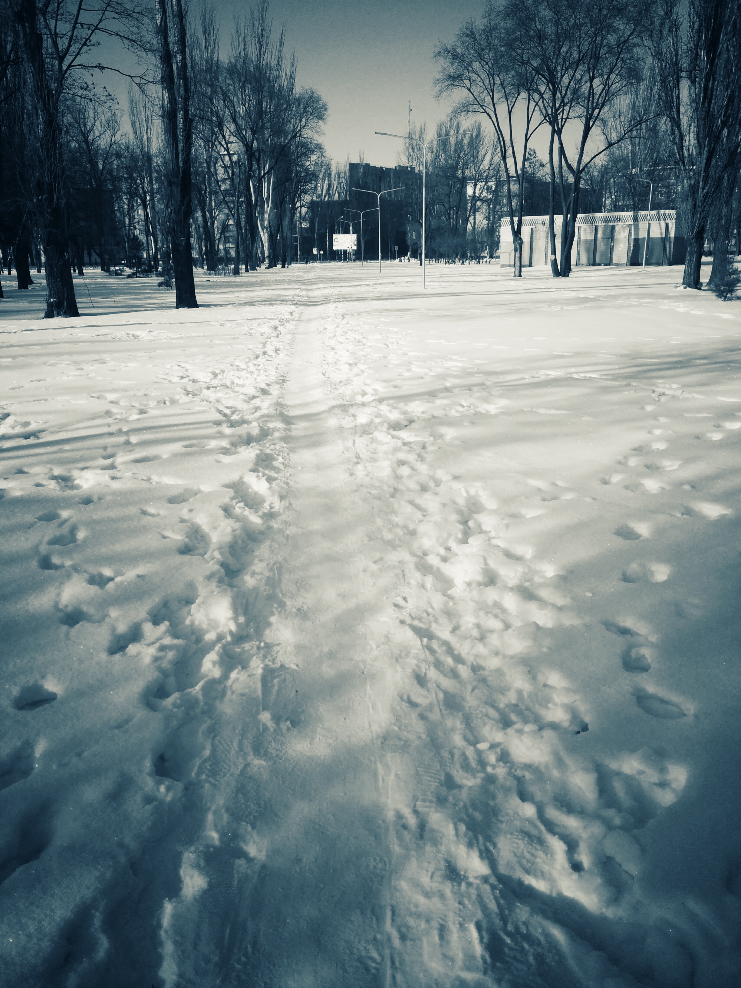 IMG_20160124_135908-01.jpeg