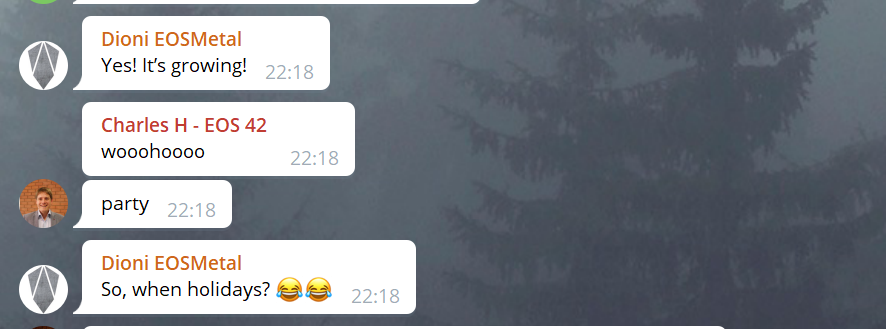 party.PNG