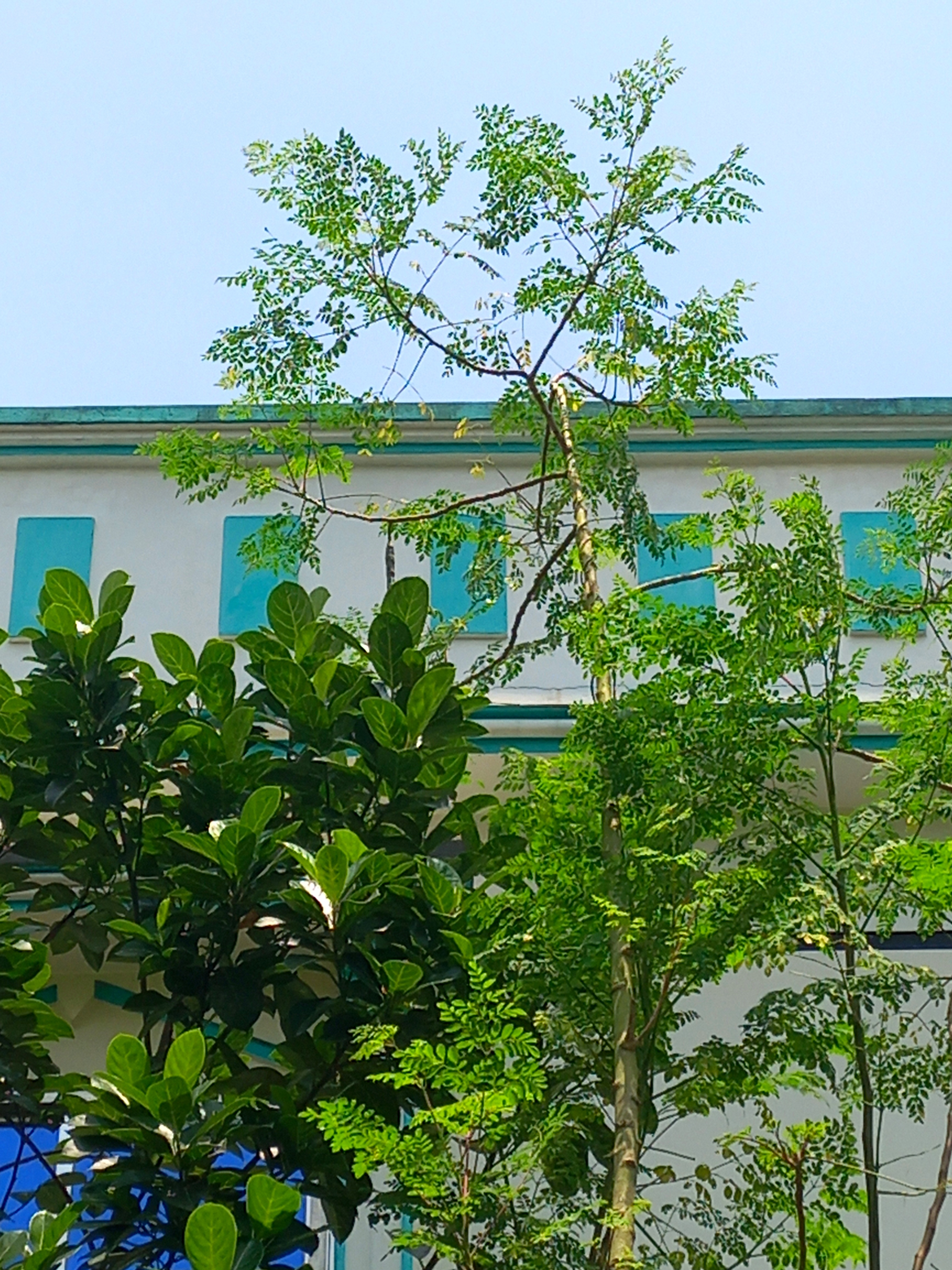 20260512_122230.jpg