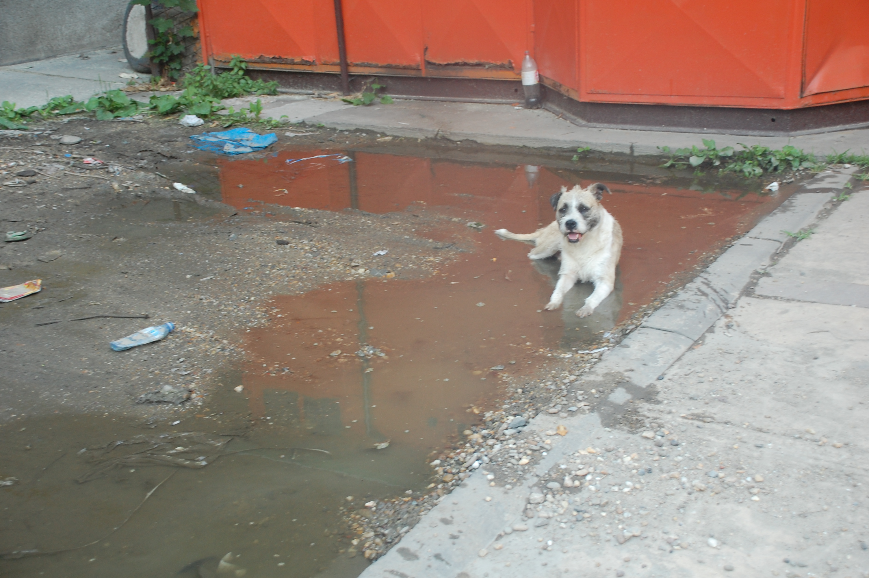 DSC_9719.JPG