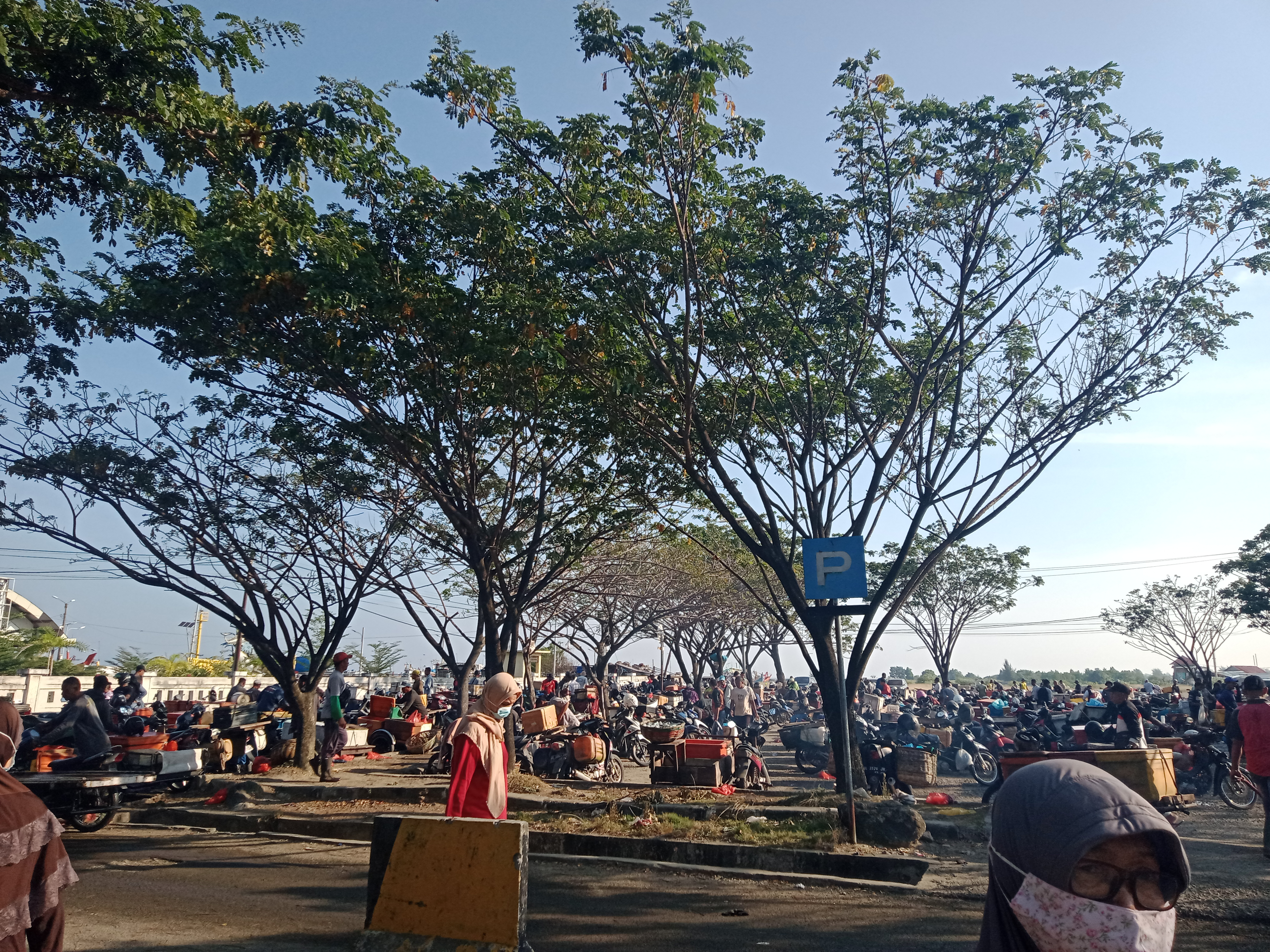 IMG20220129084310.jpg