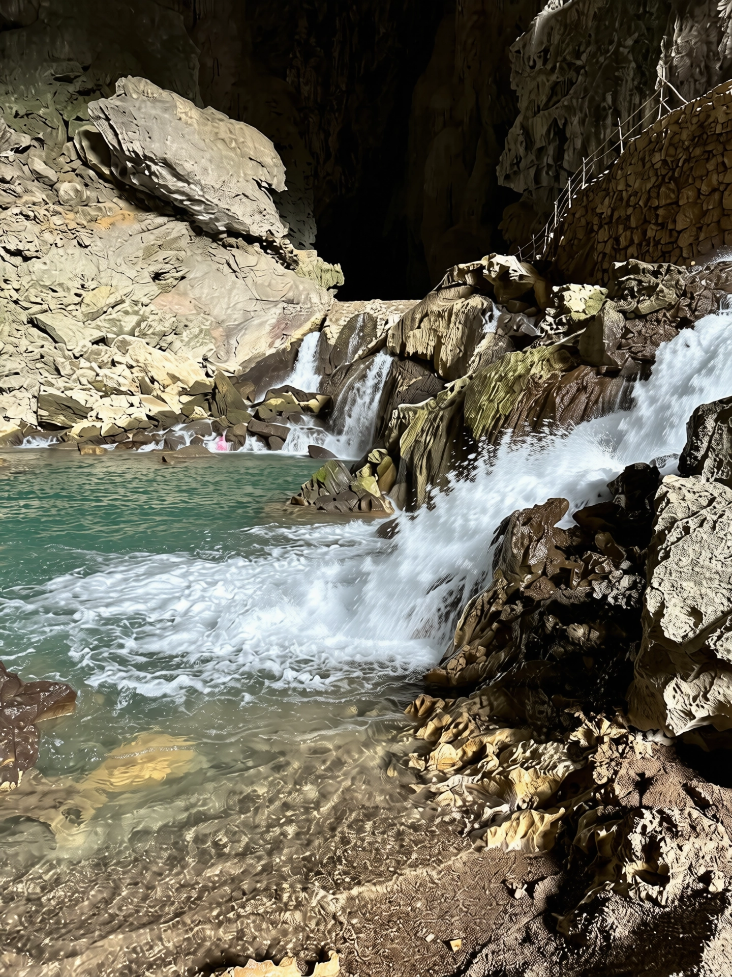 264.webp
