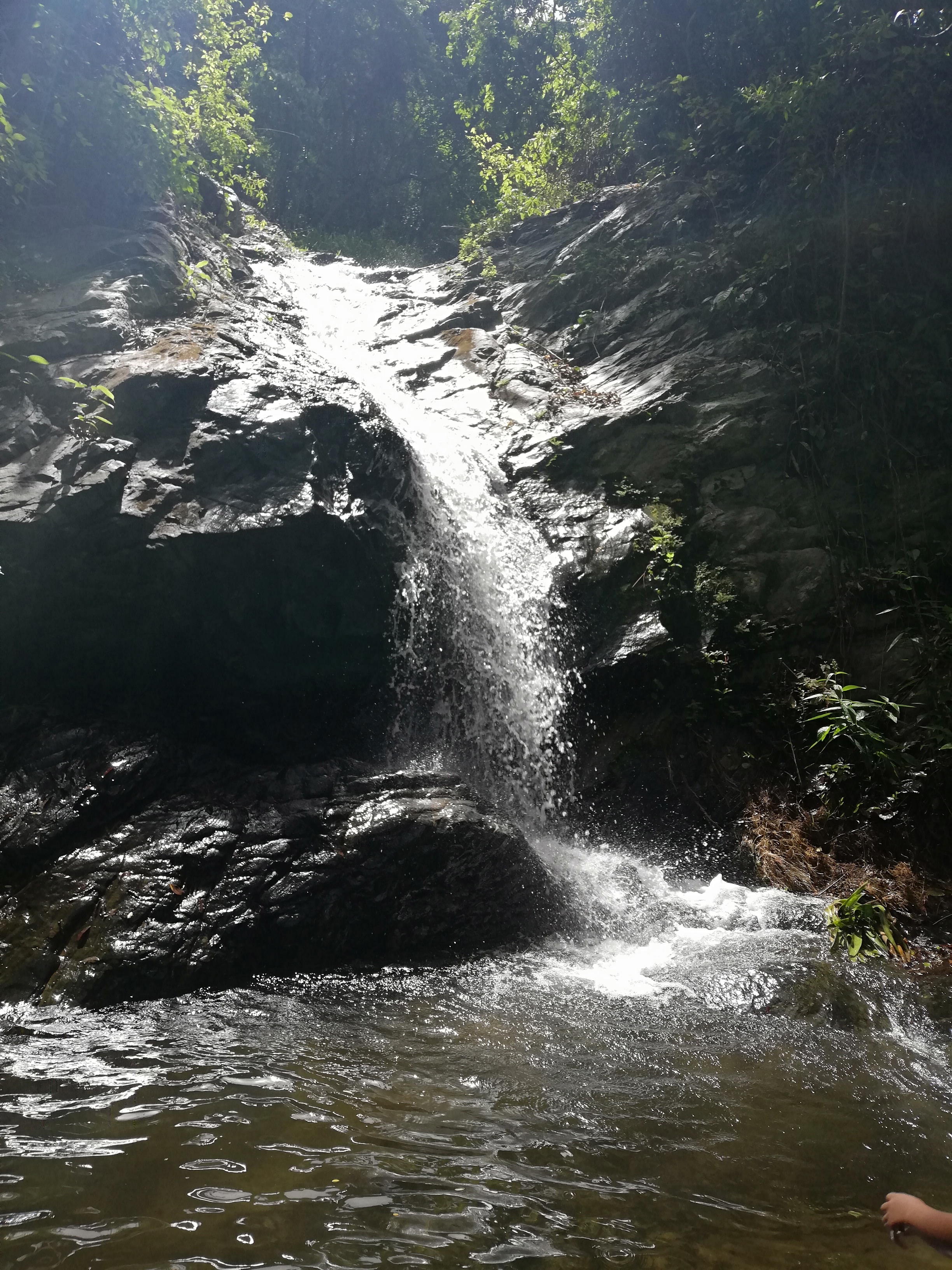IMG_20190630_103854.jpg