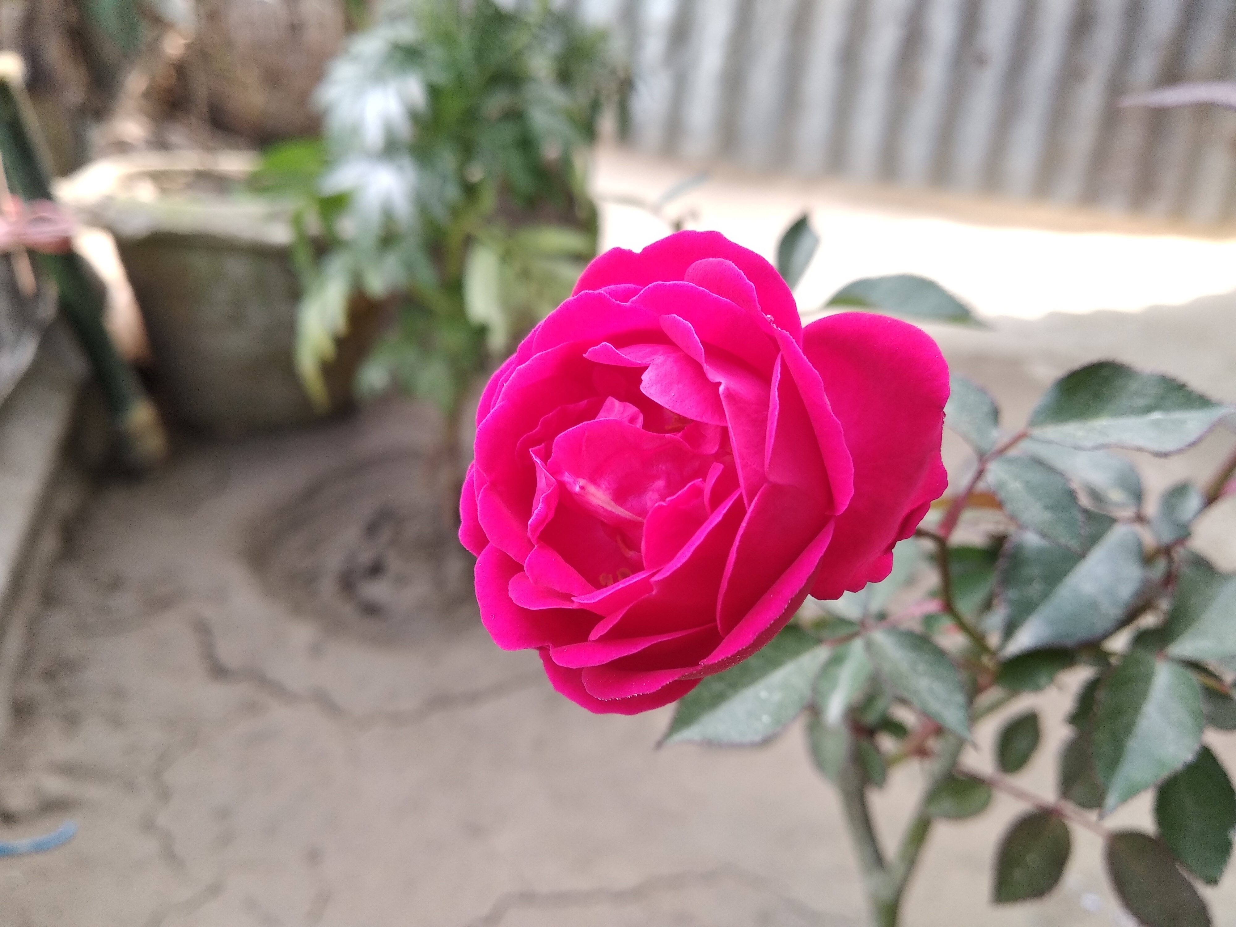 IMG_20190104_135616.jpg