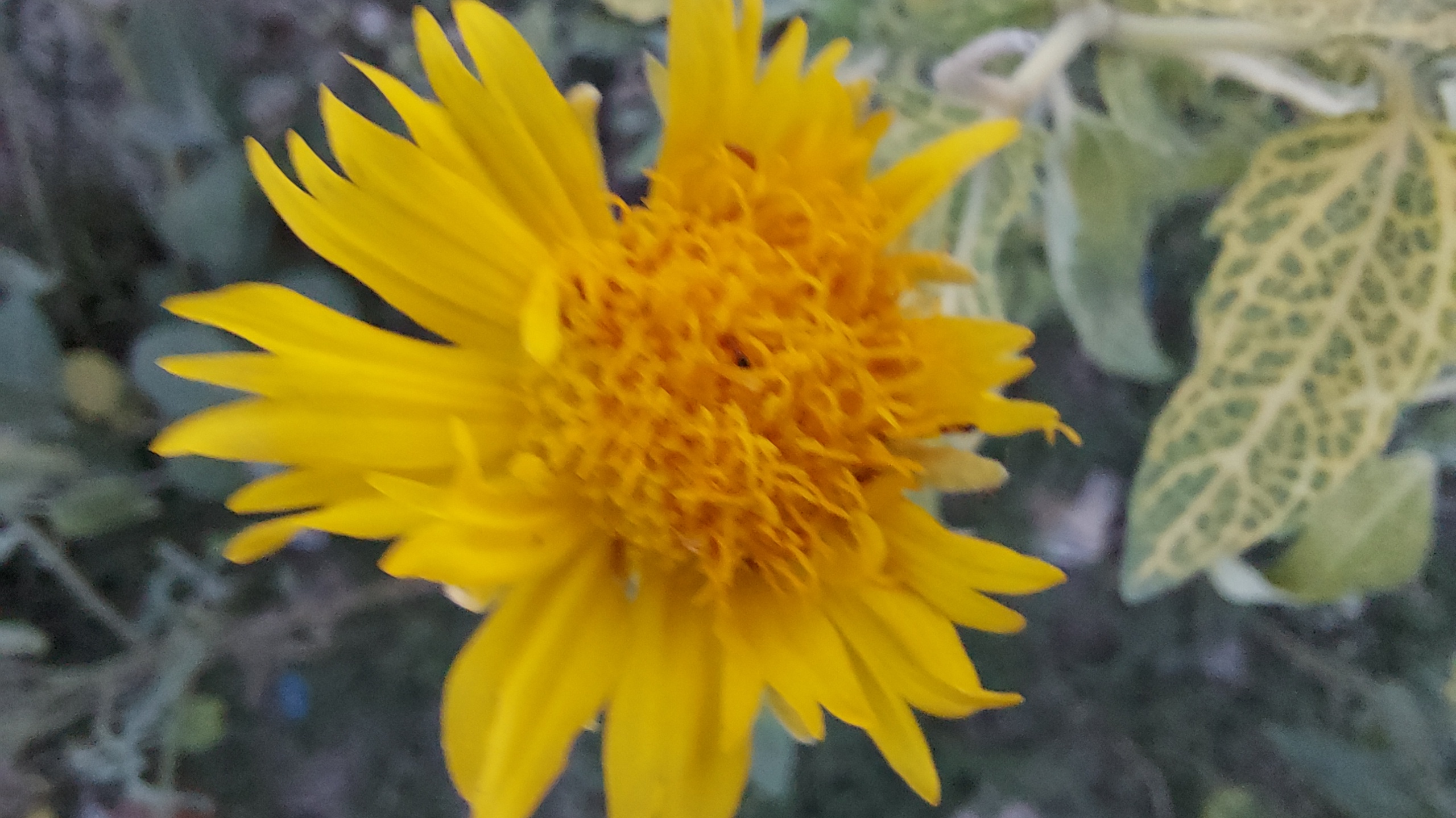 20210927_175707.jpg
