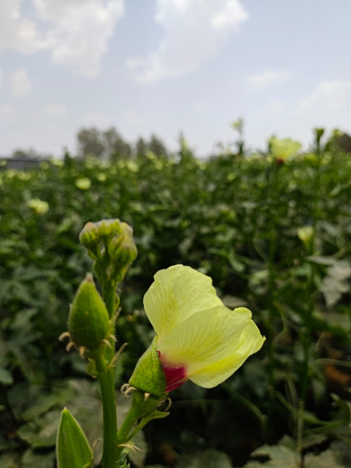 6b81dcb6-23ef-4055-980e-6ce20d051113.jpeg