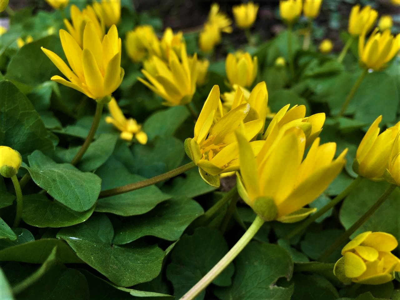 photo_2021-04-13_16-59-44 (2).jpg