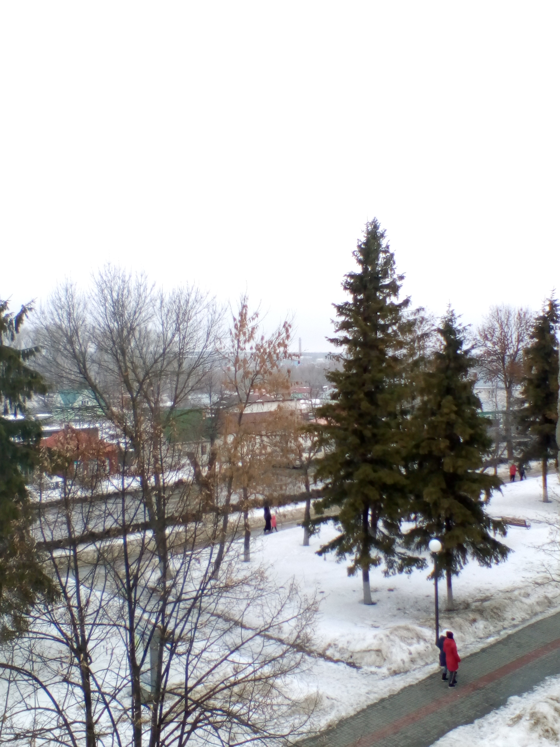 IMG_20190320_132533.jpg