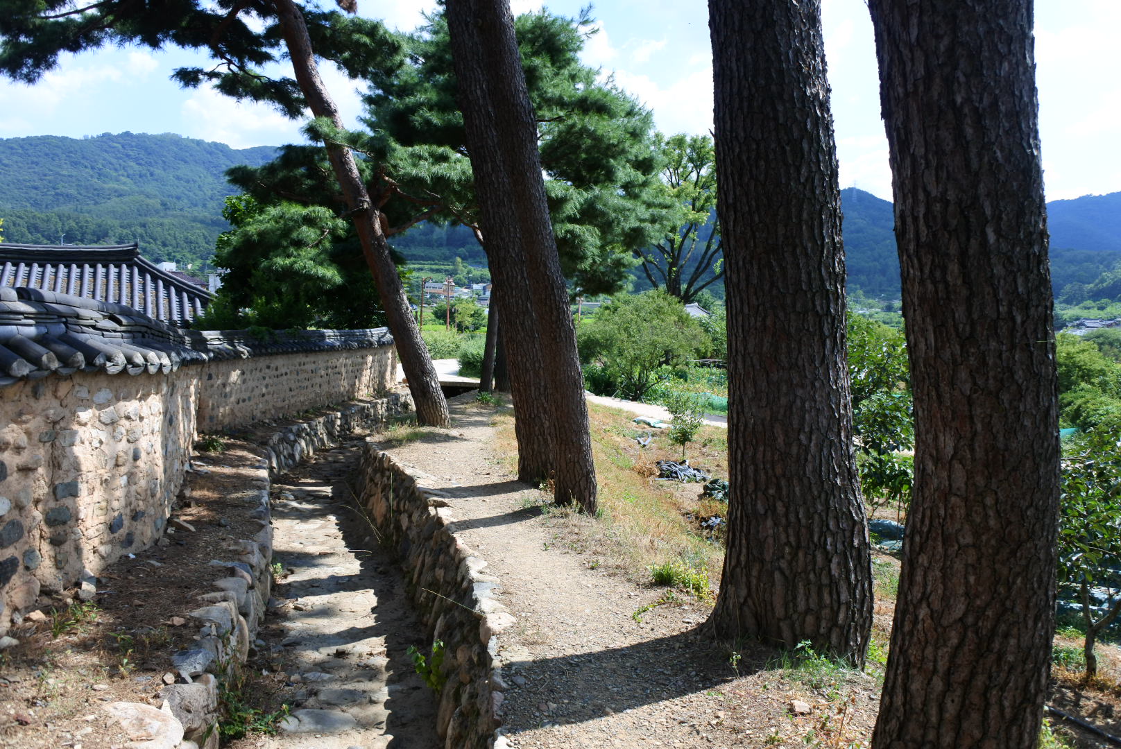 DSC_4986.JPG