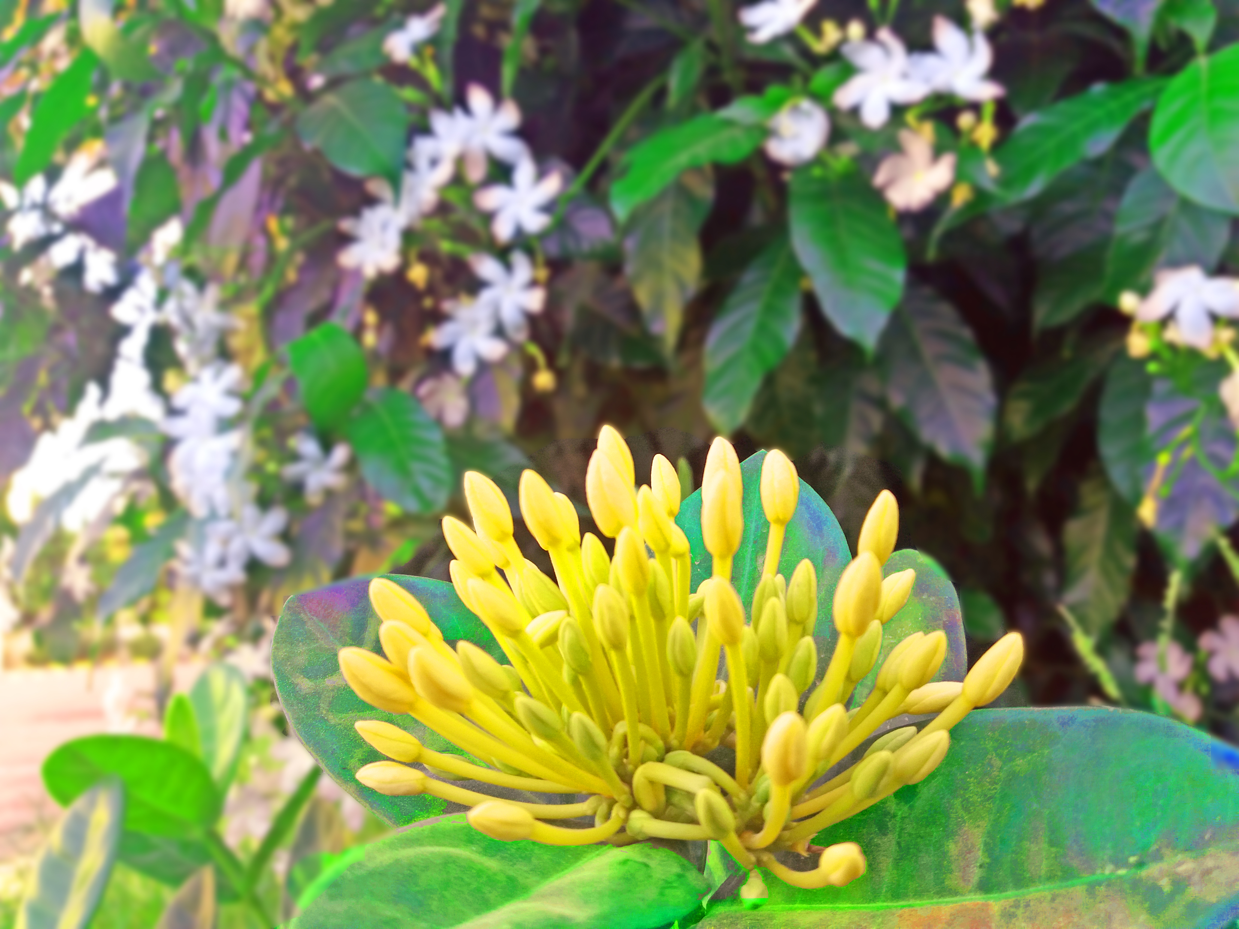 20180519_182130.jpg