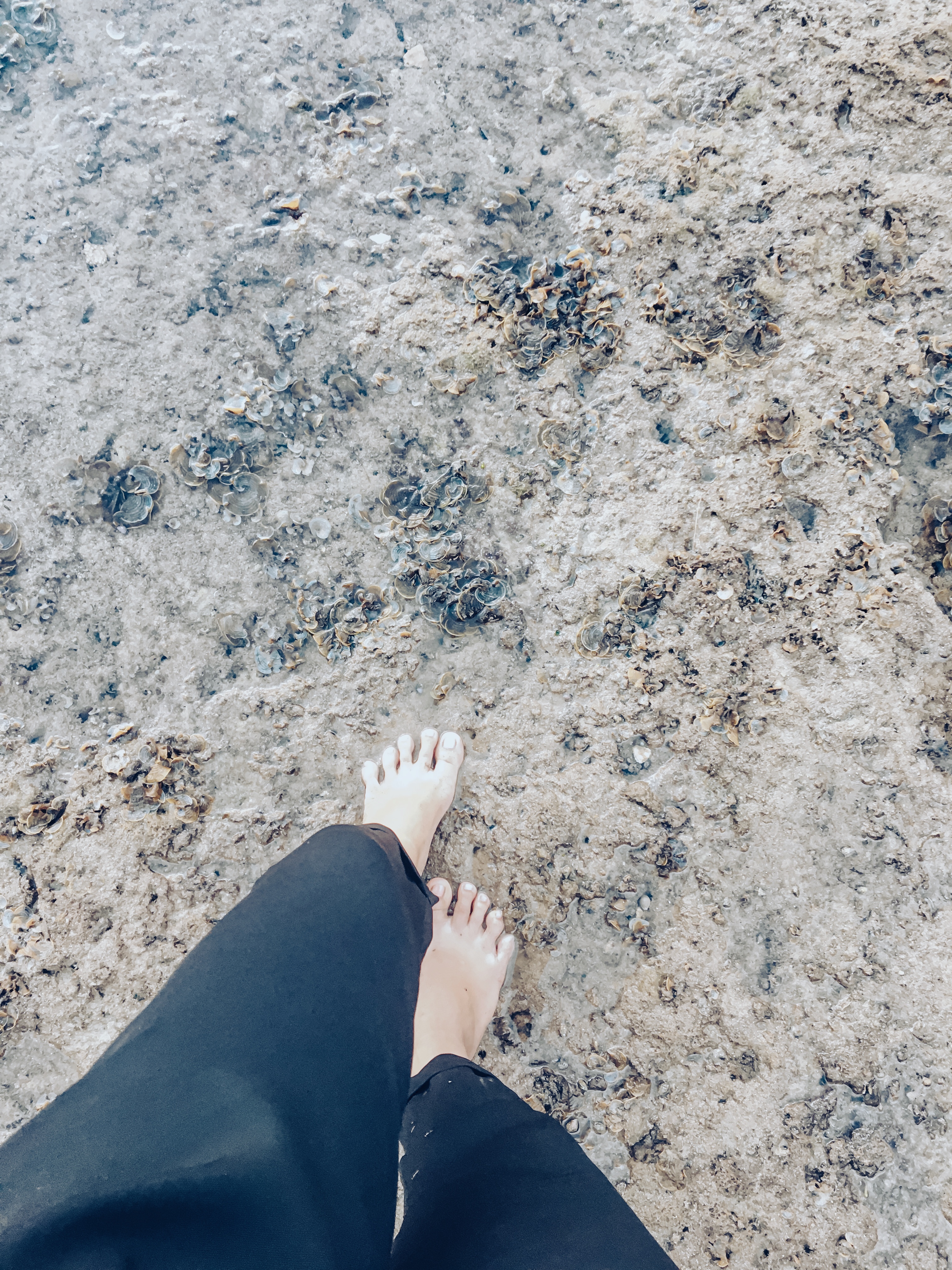 7C024A3C-5164-46B2-9B0A-2F3865C41C08.jpeg