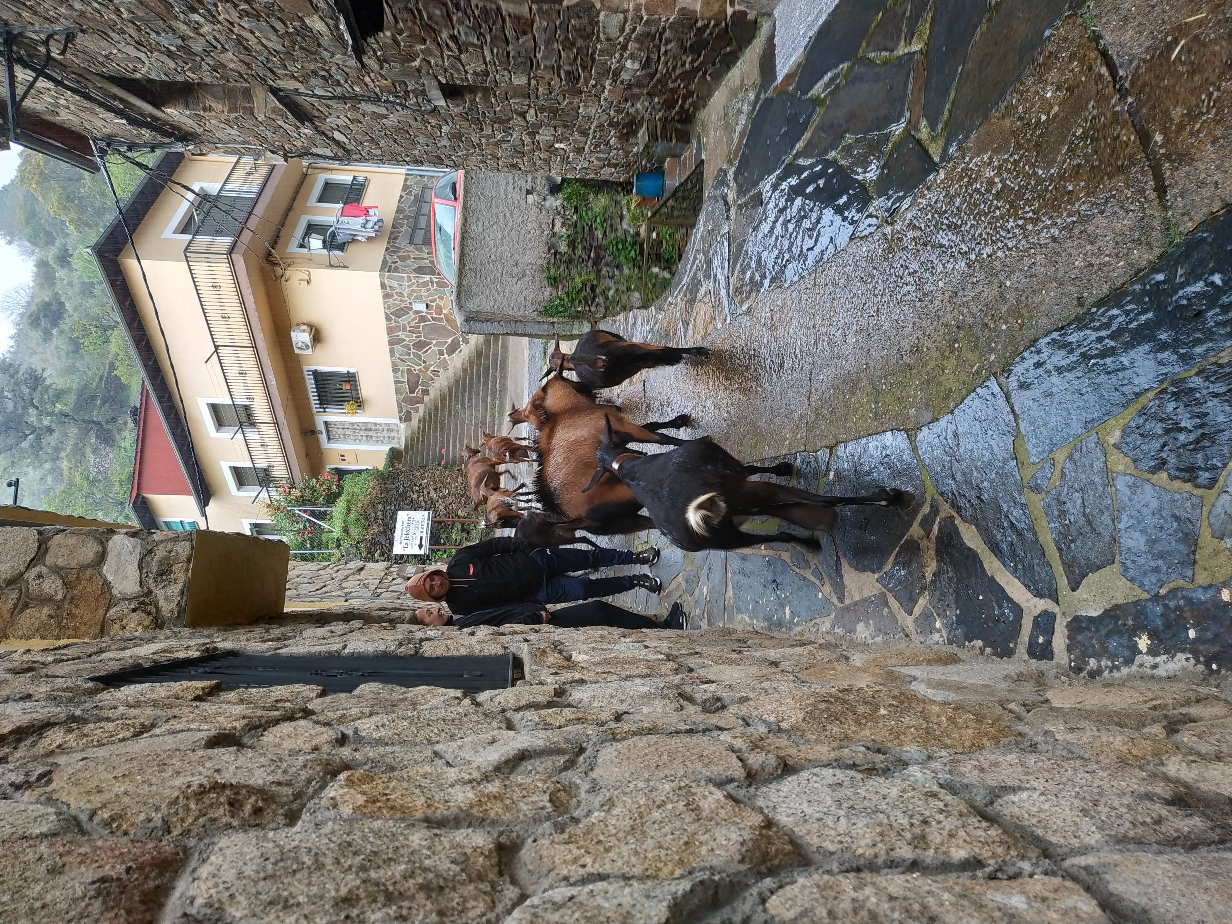 main_image