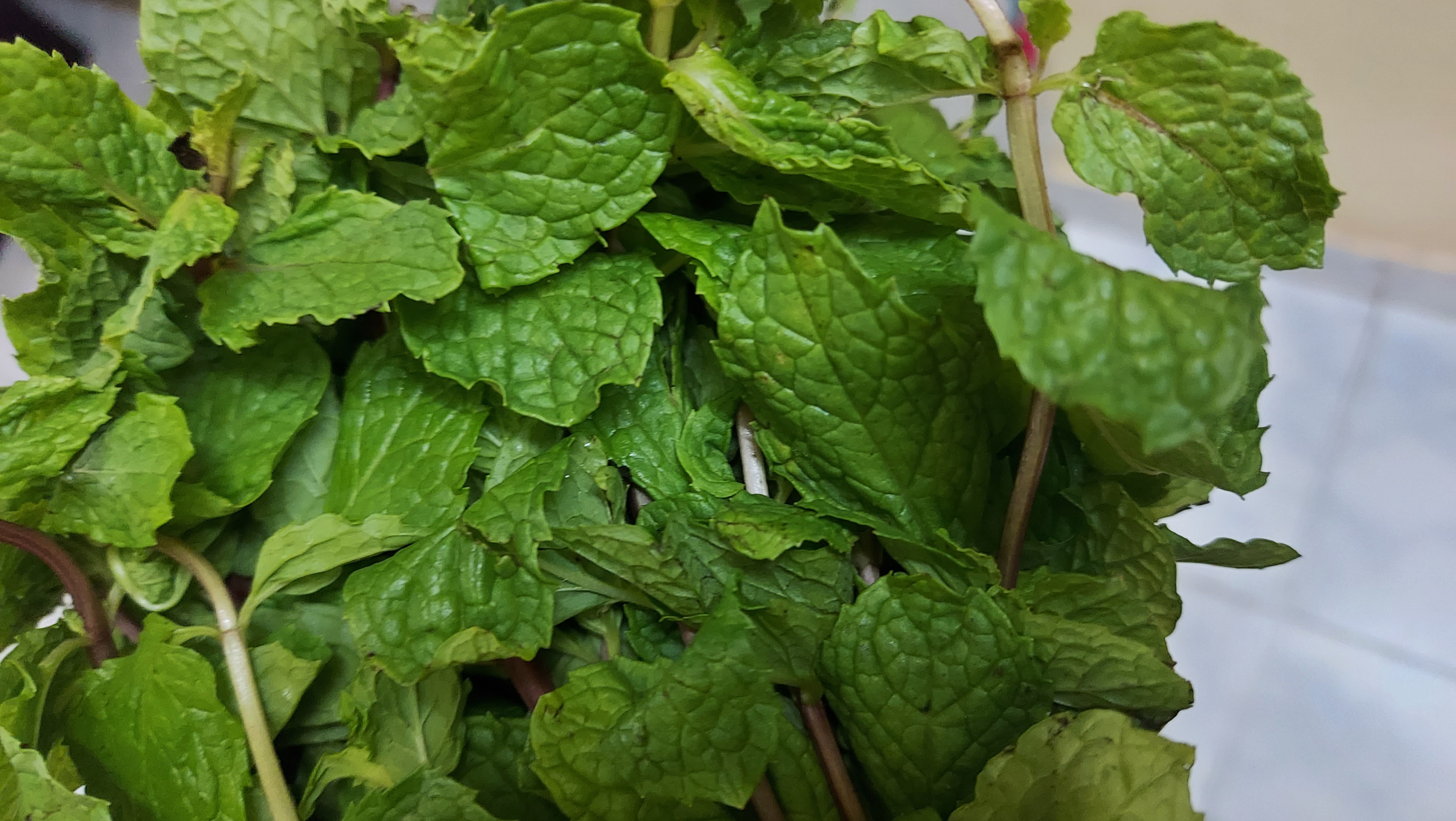 20210718_181545.jpg