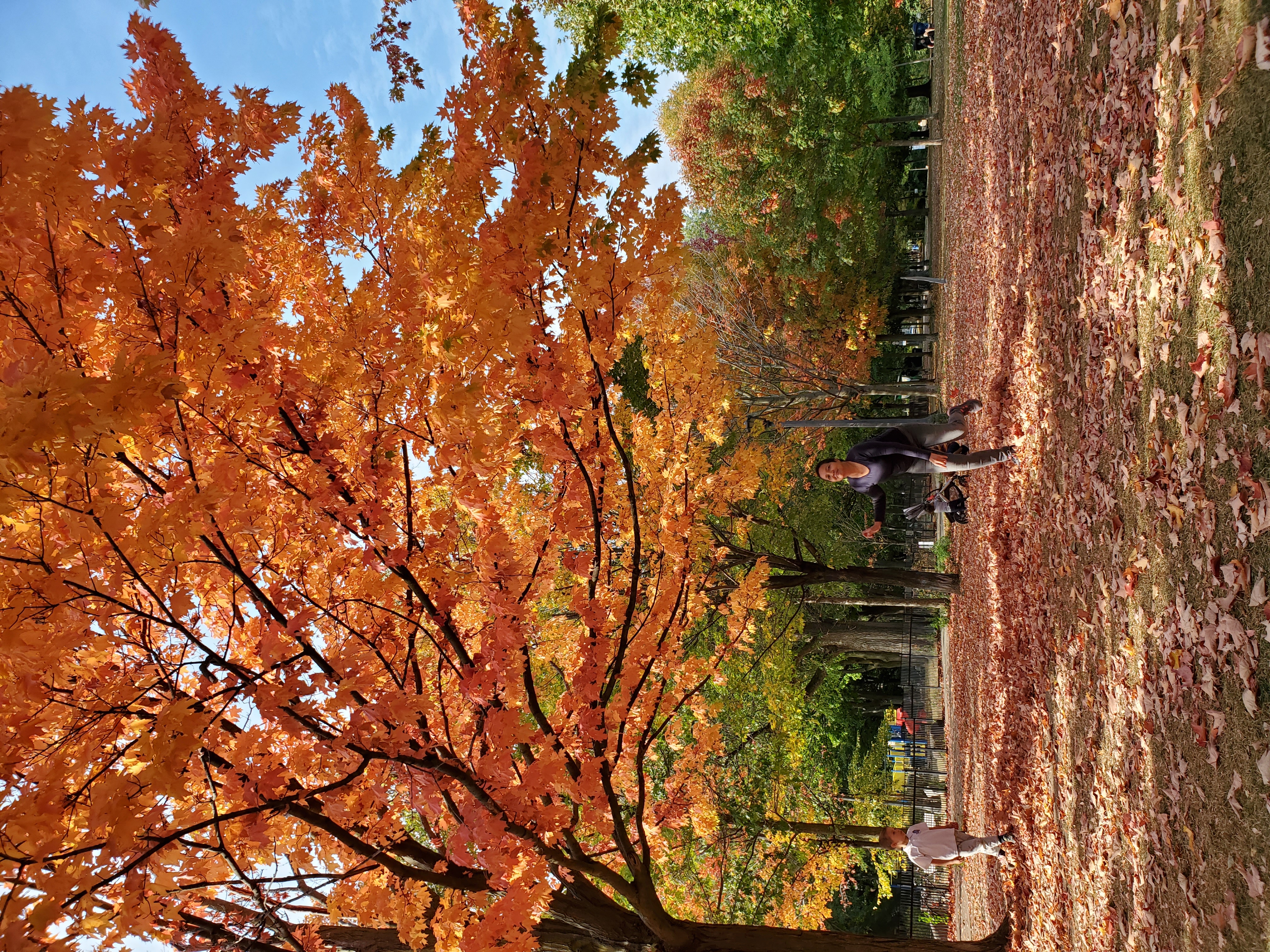 20200928_155959.jpg