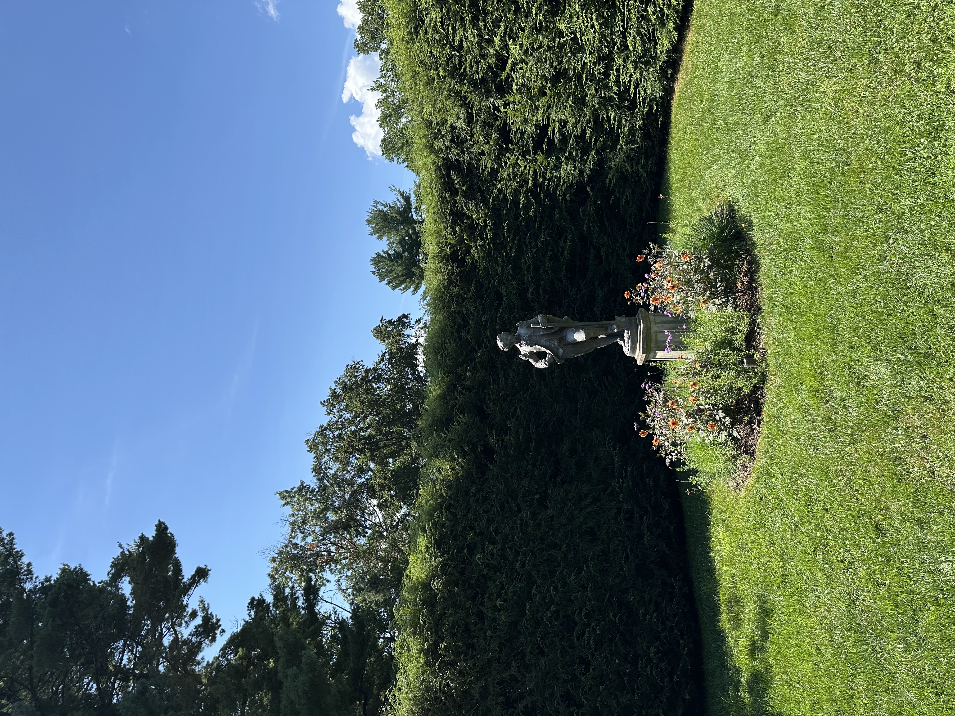 IMG_5590.jpeg