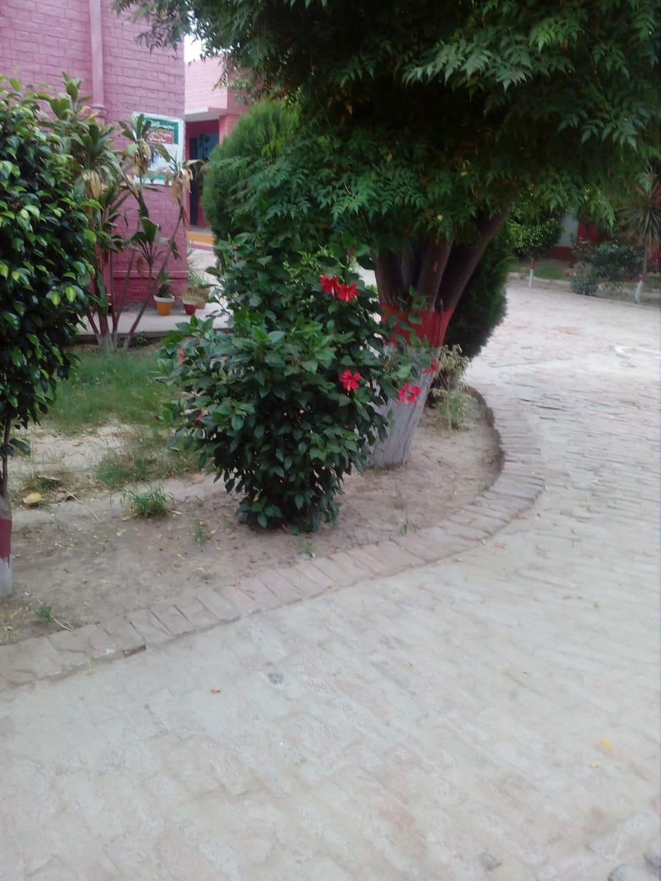 IMG-20210730-WA0000.jpg
