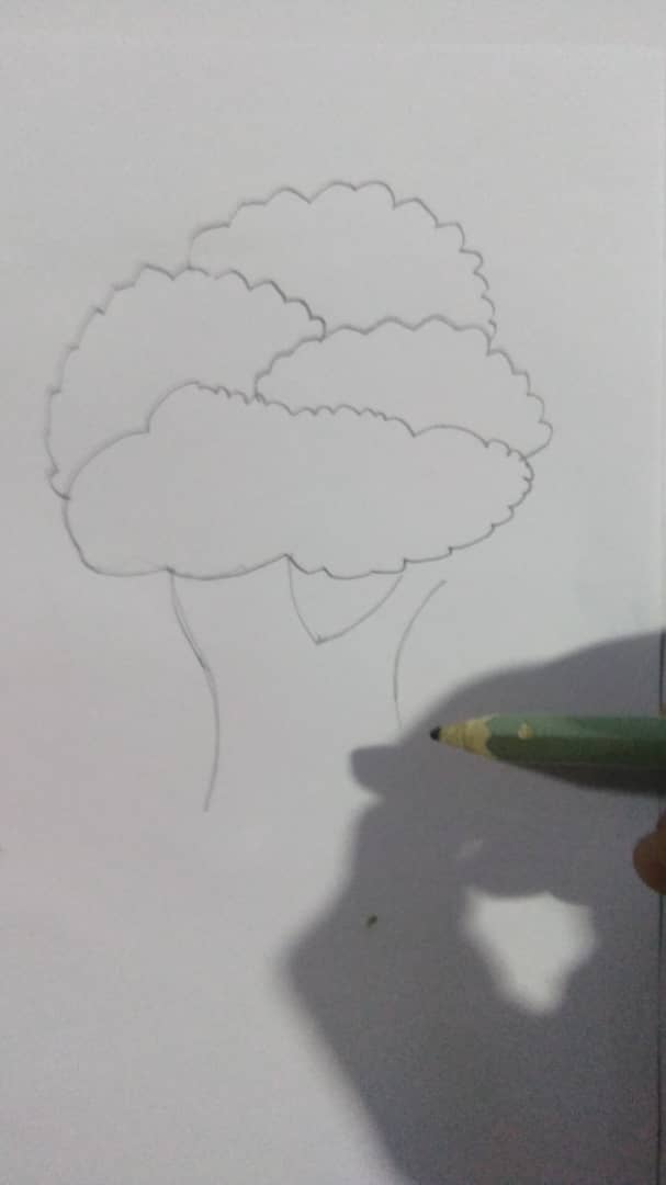 dibujando 9.jpg
