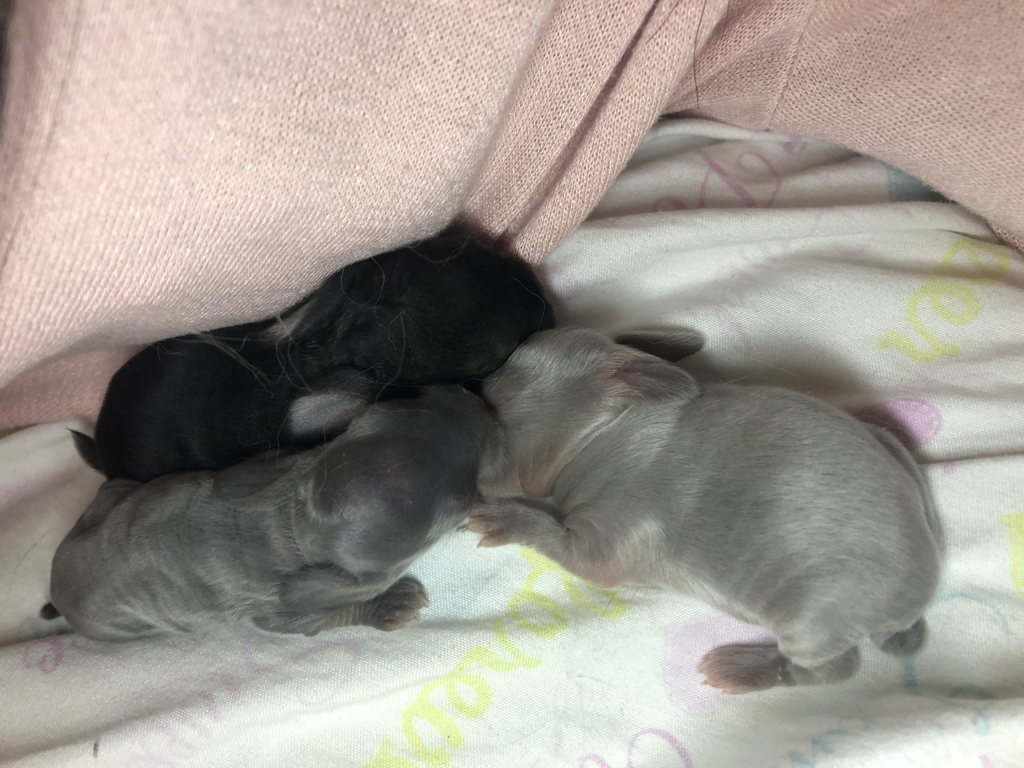 babysnuggles.jpg