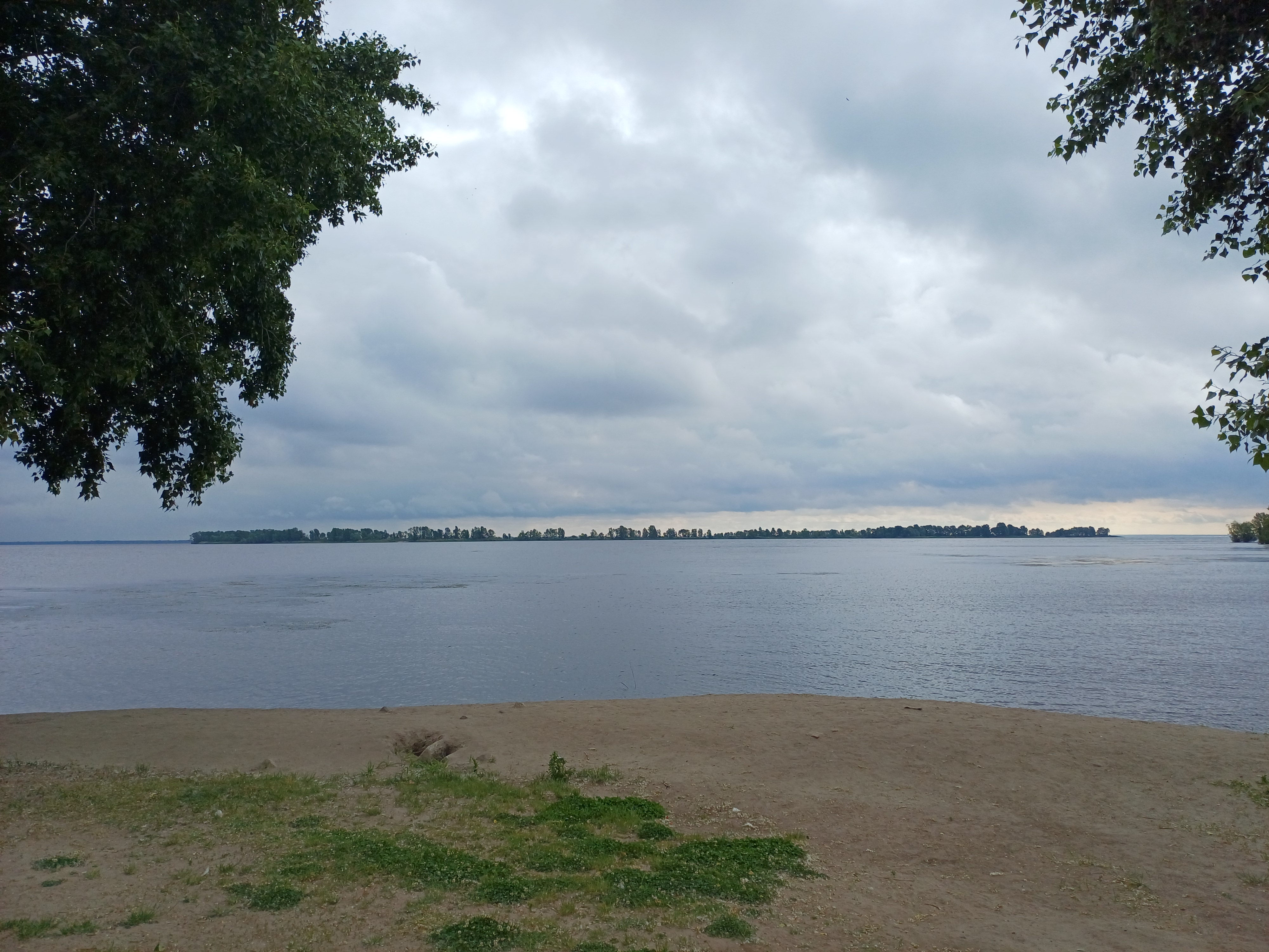 20260608_084445.jpg