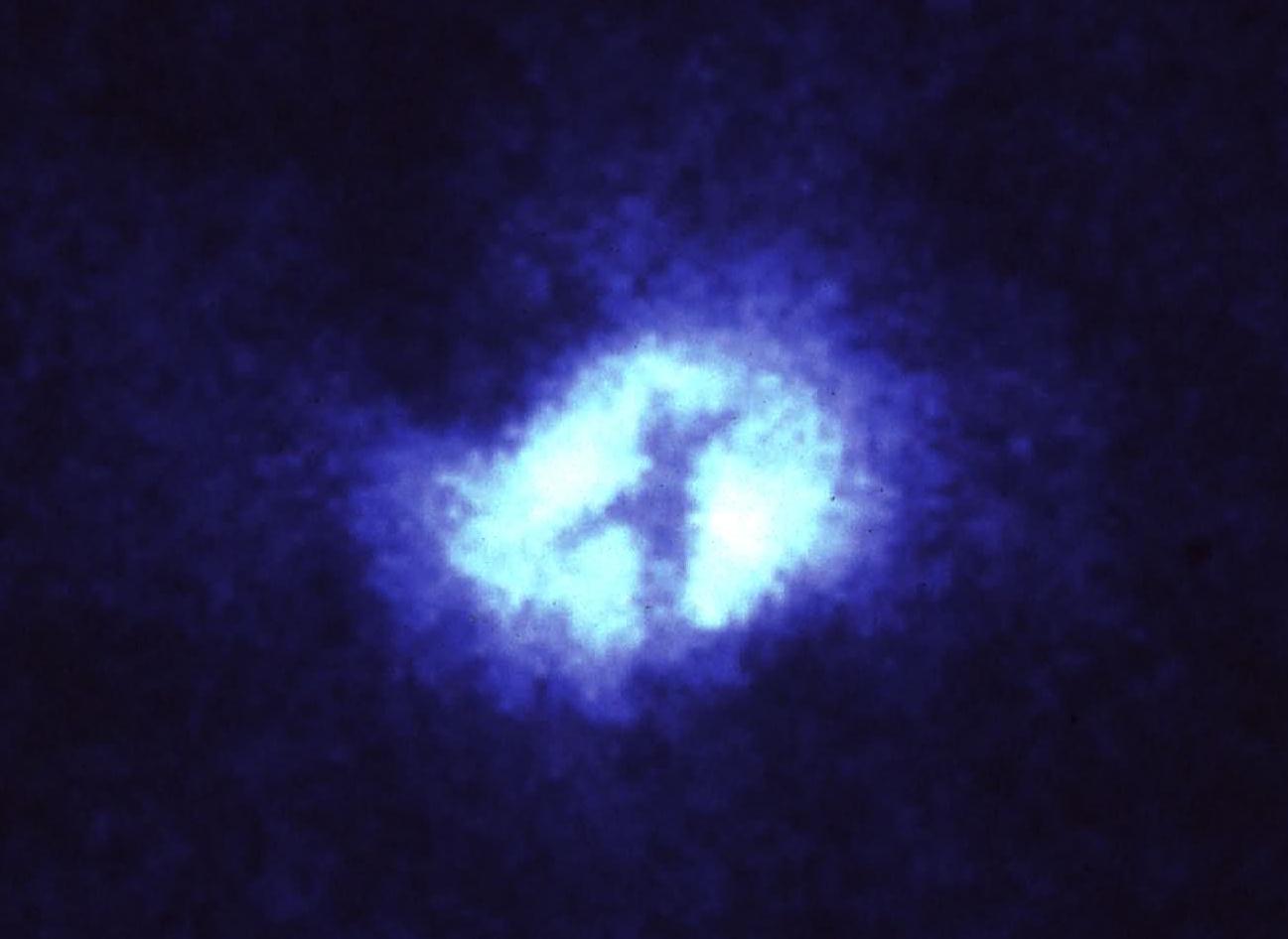 Laminin — Steemit