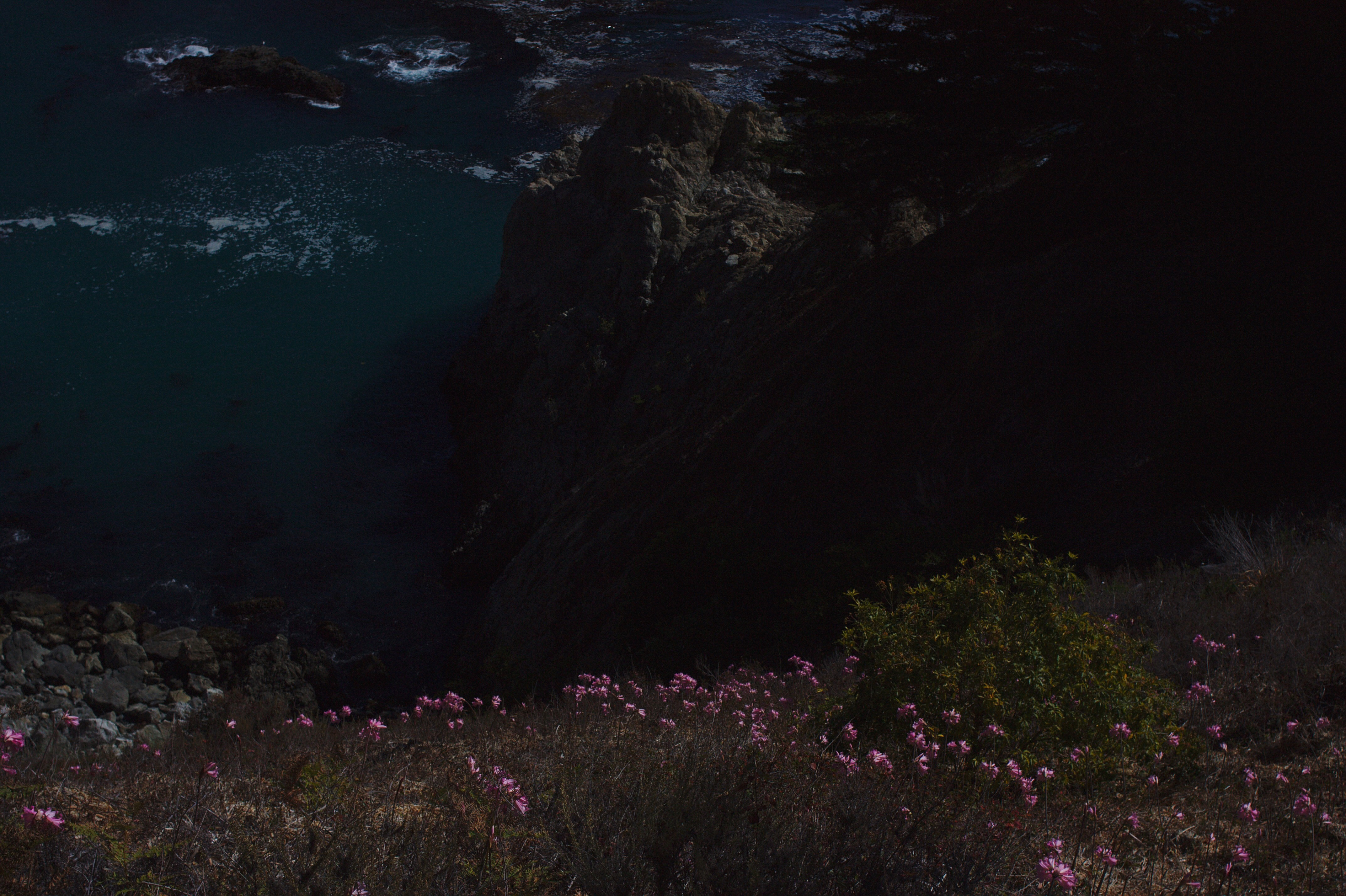 holochain - lani trock.JPG