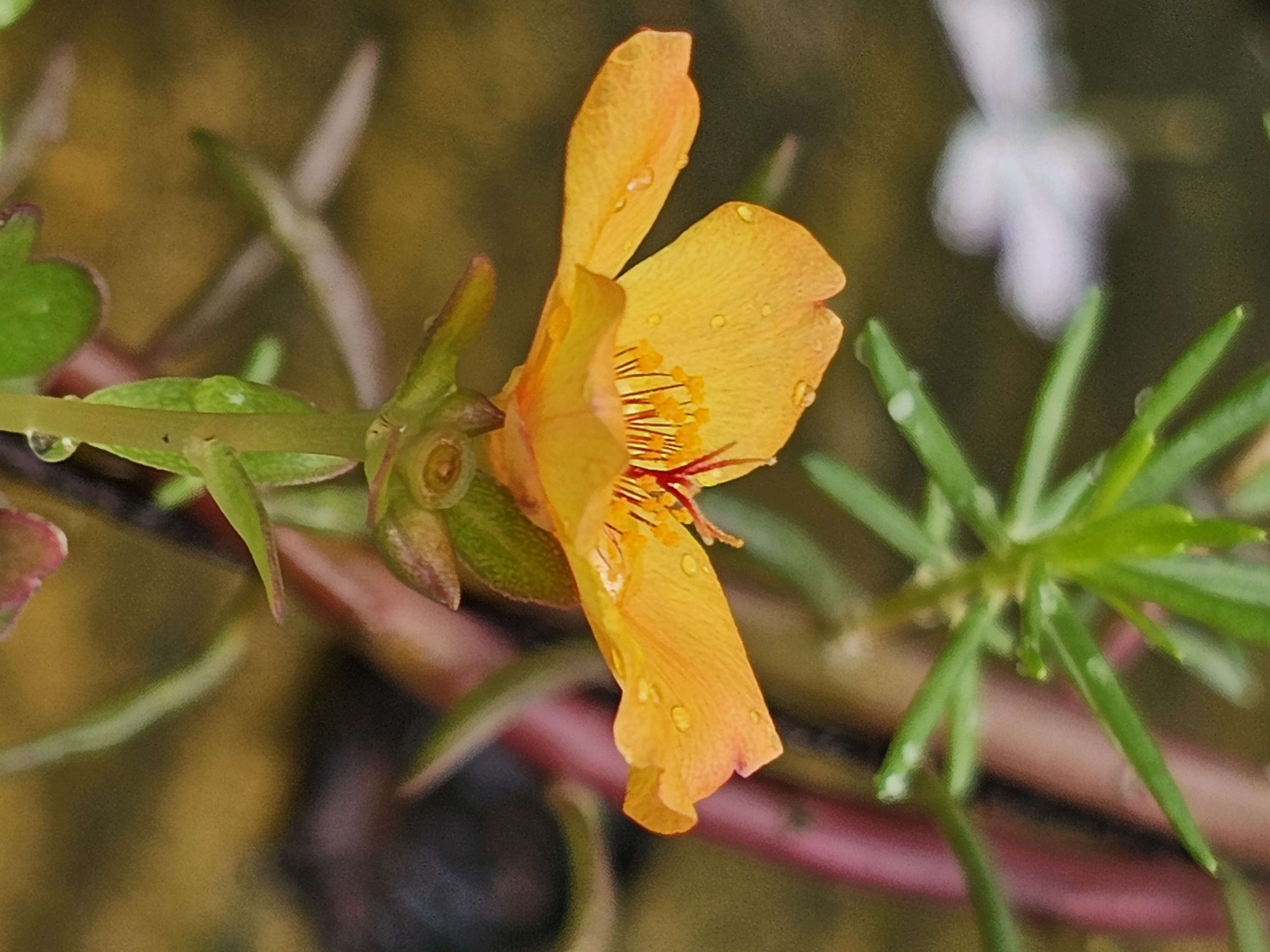 20250618_104514.jpg